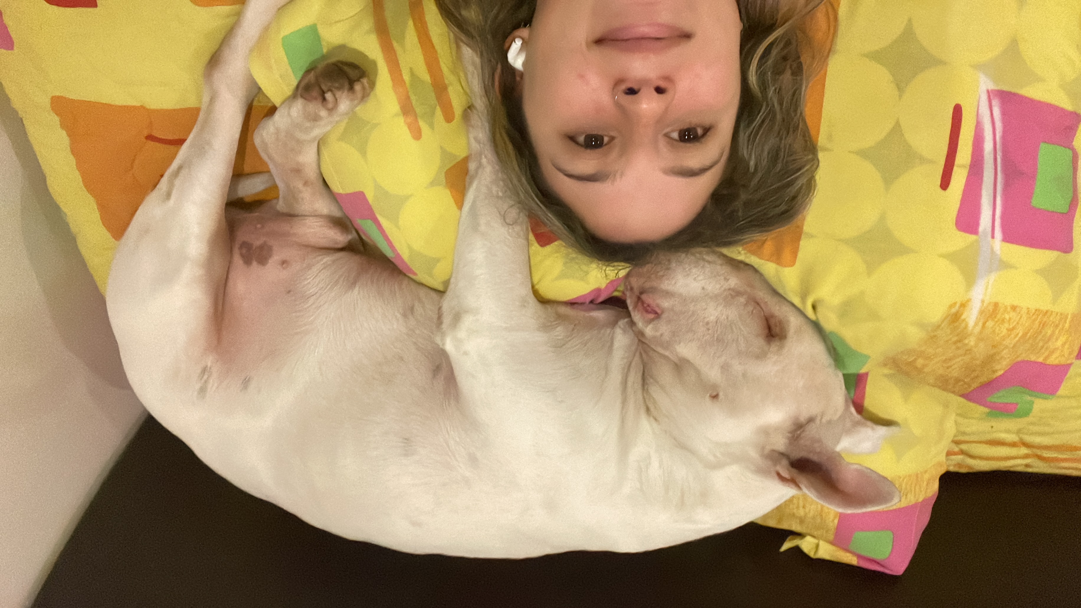 image-8