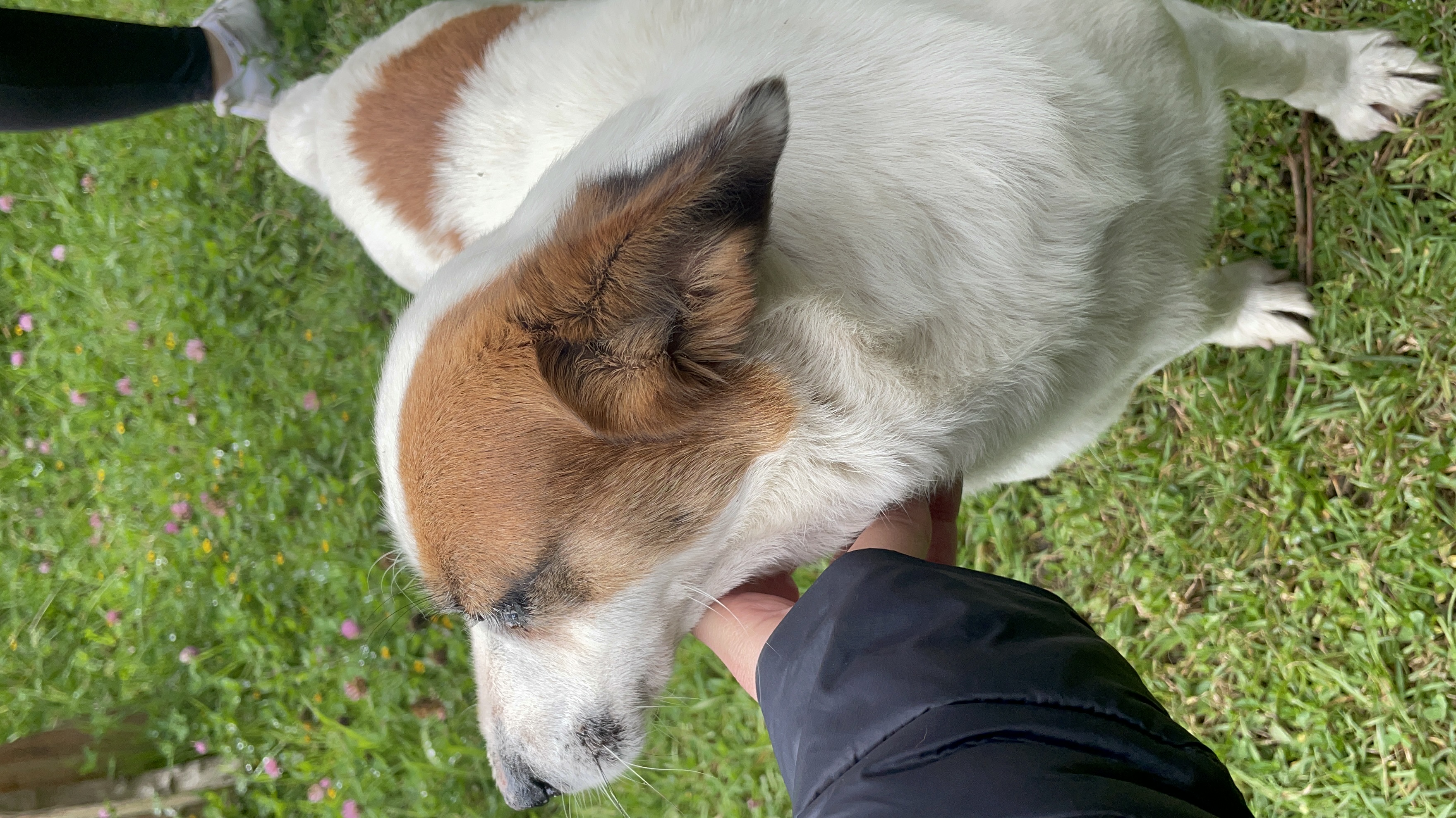 image-10