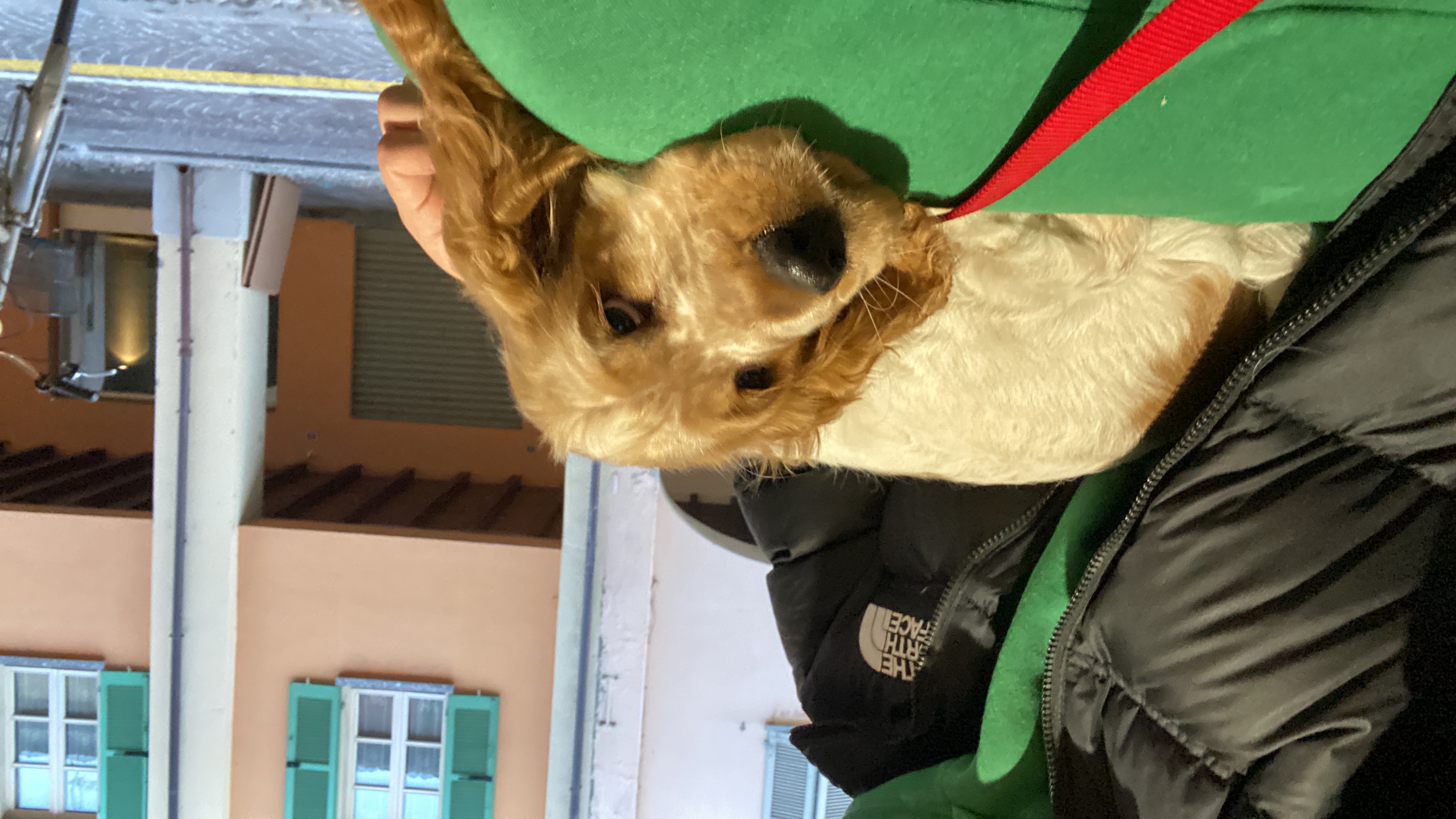 image-6