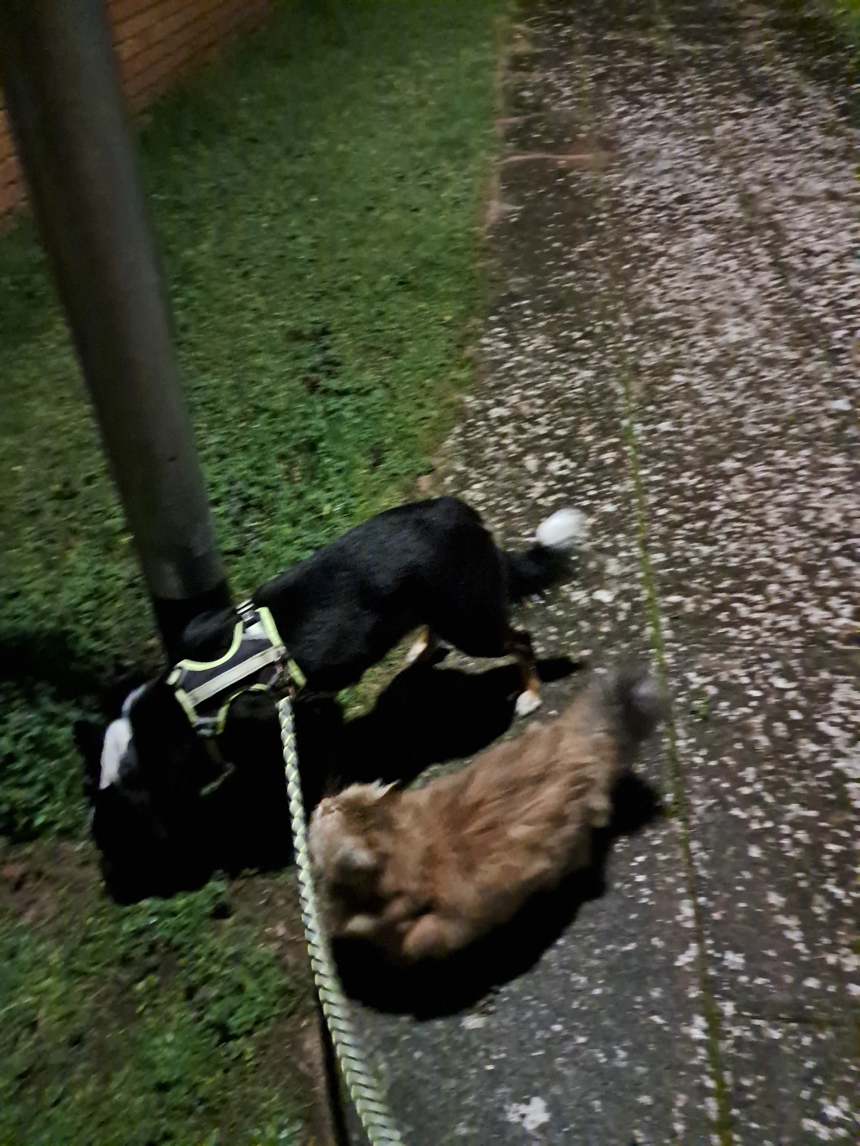 image-7