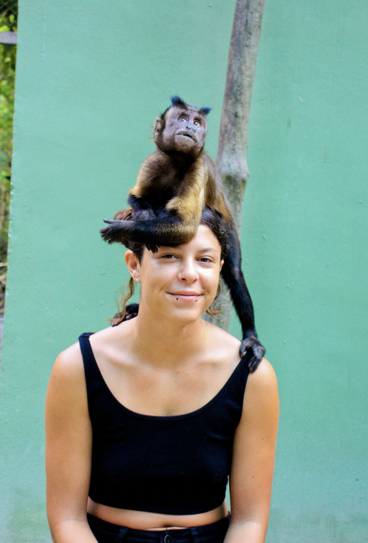 image-2