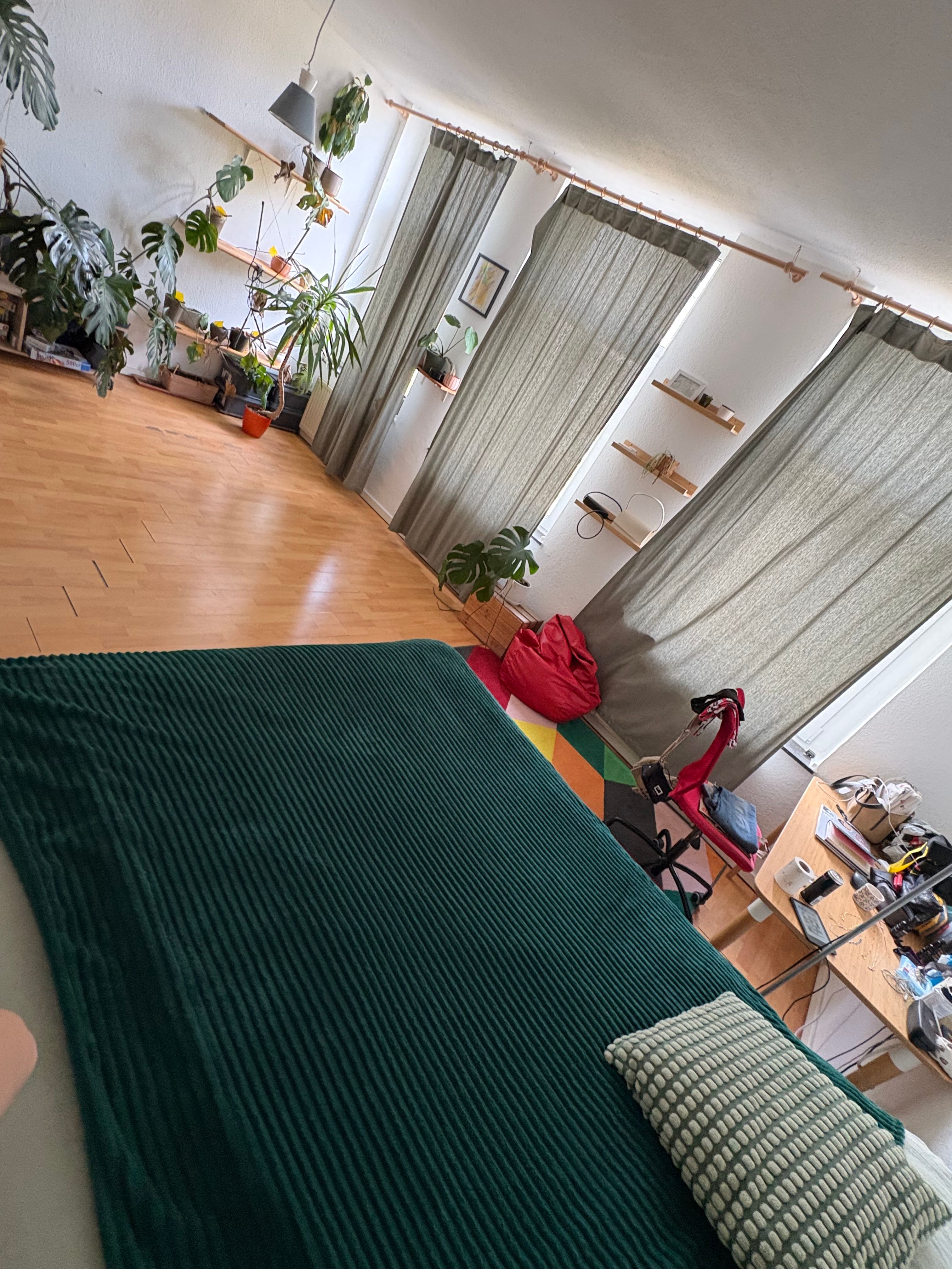 image-14