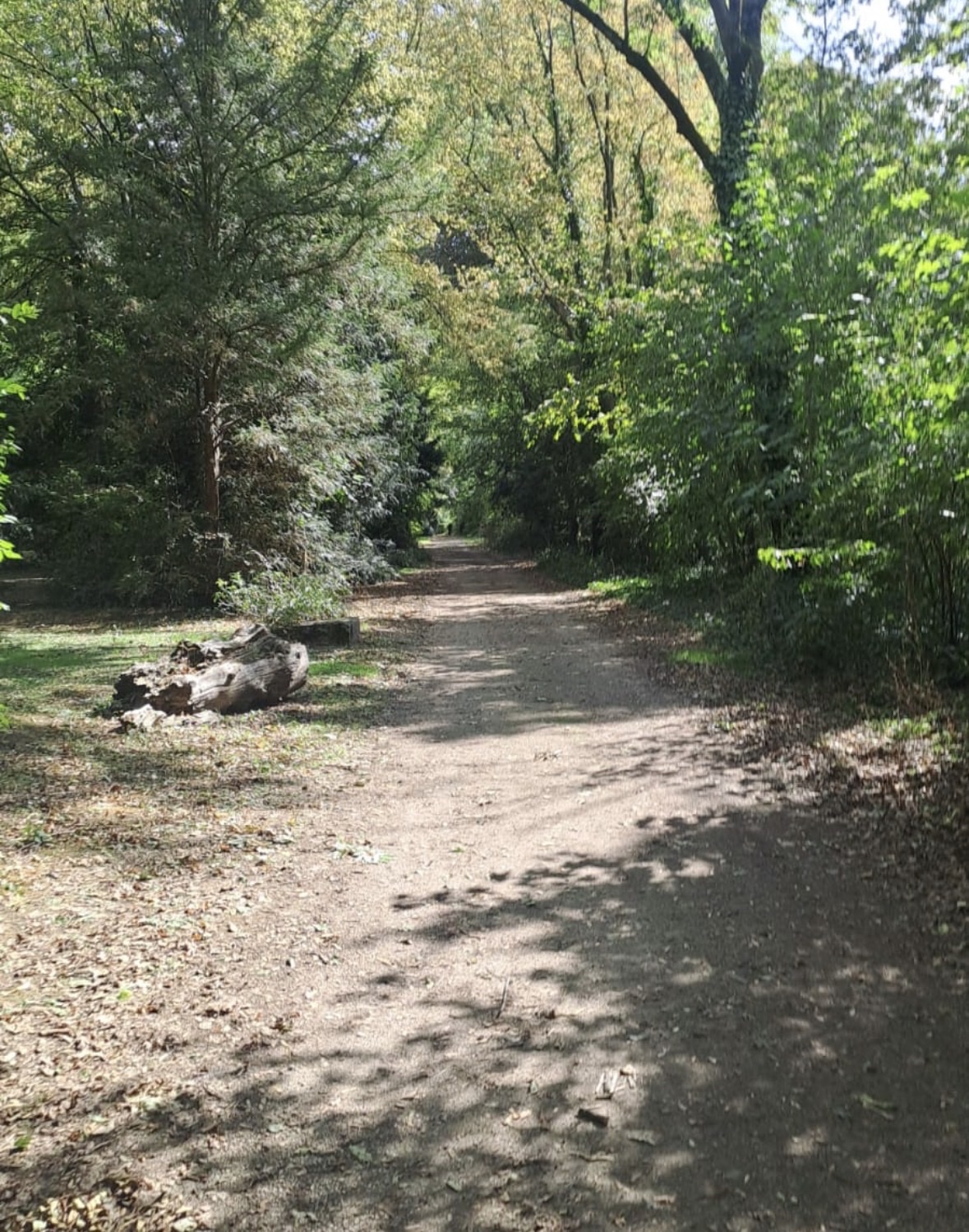 image-17