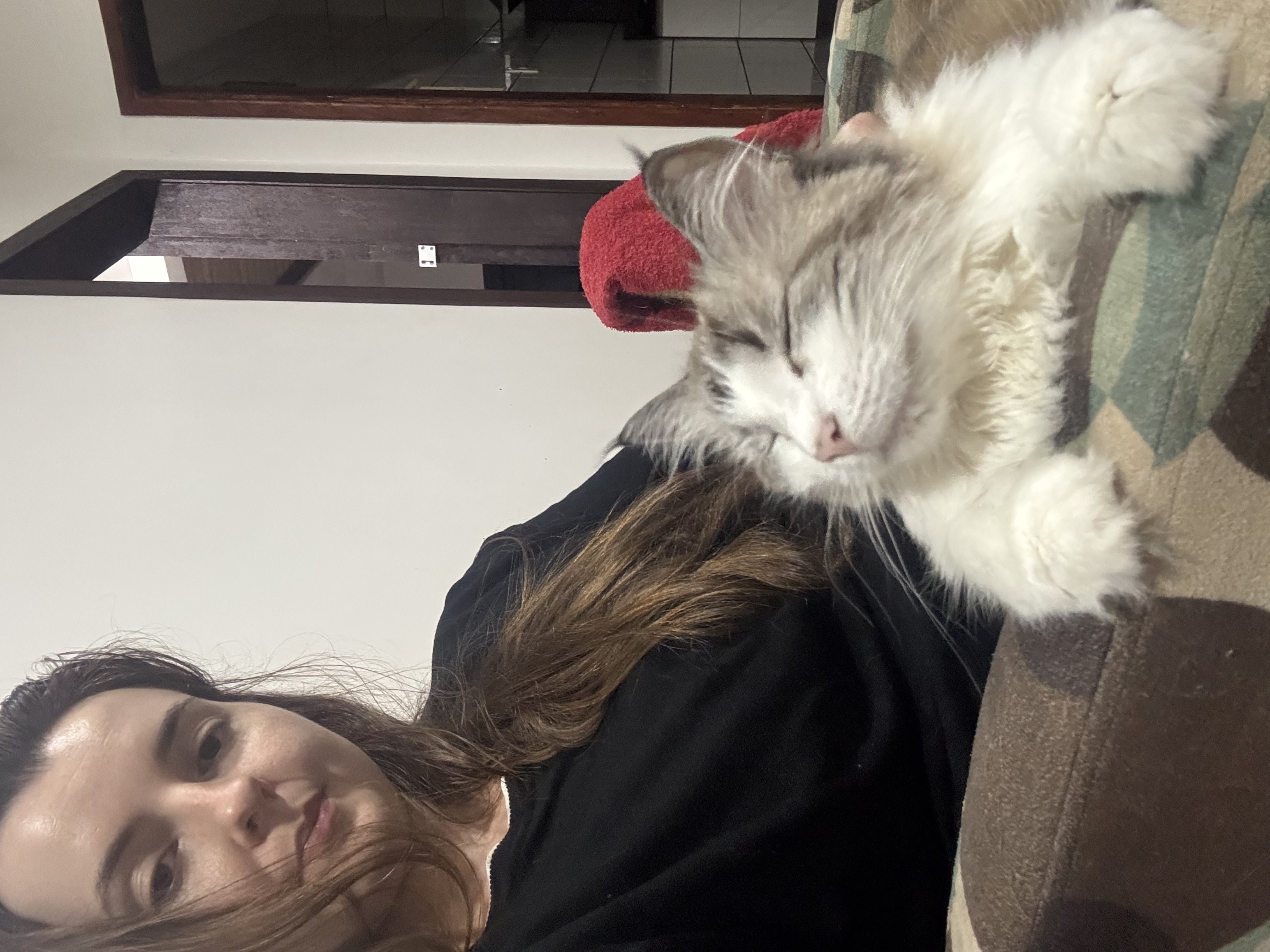 image-8
