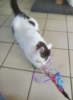 image-8