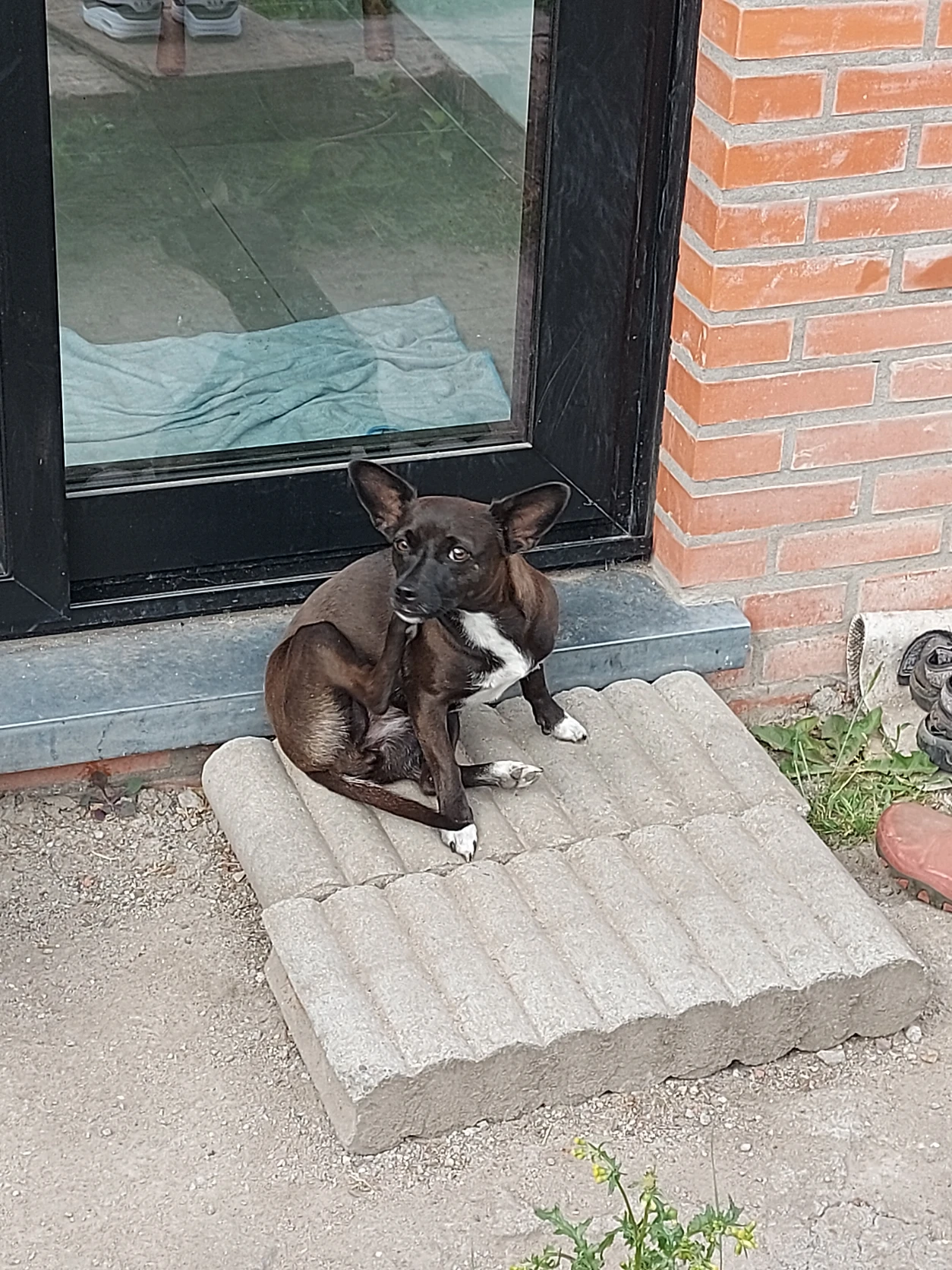 image-20