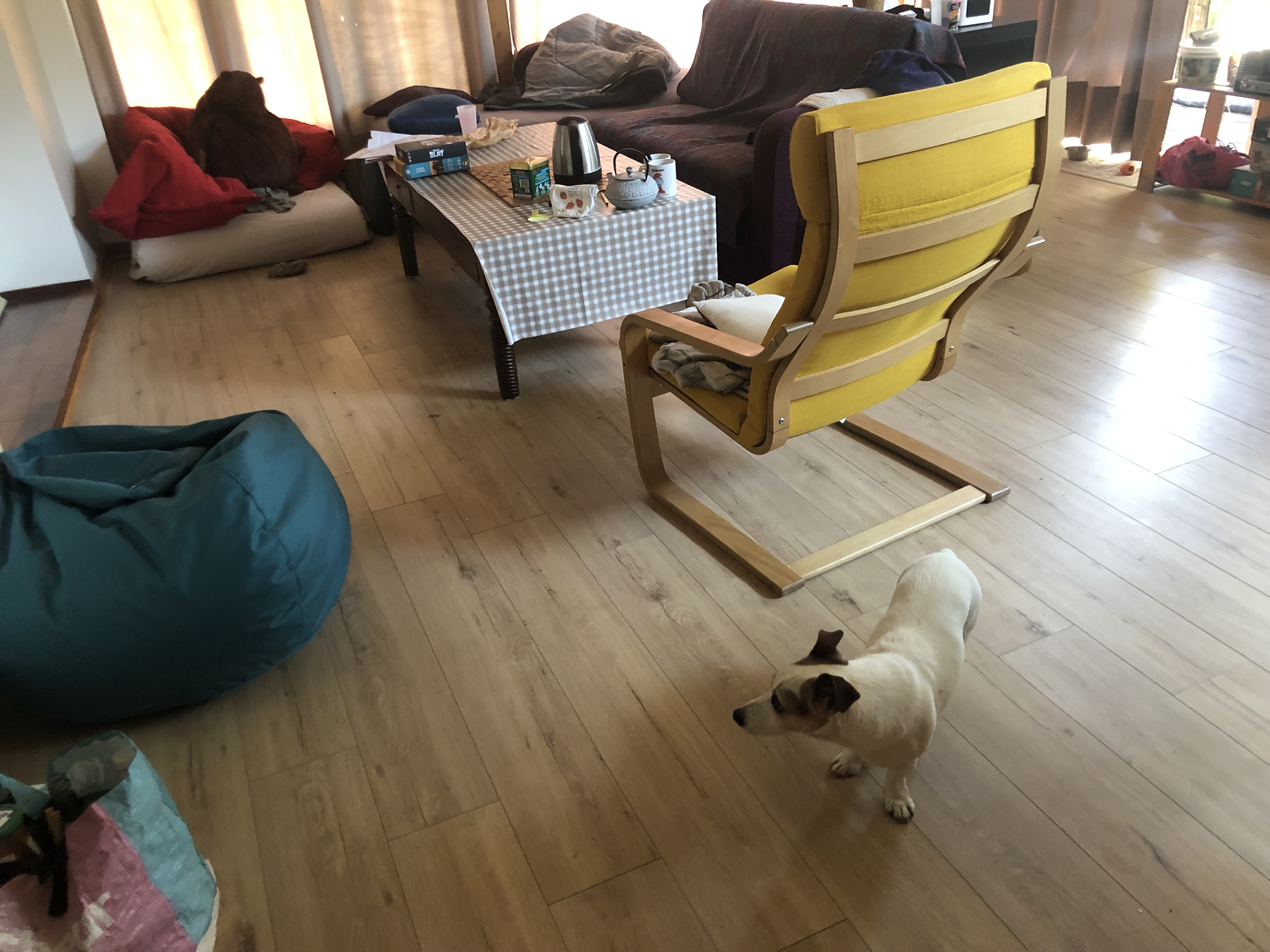 image-8