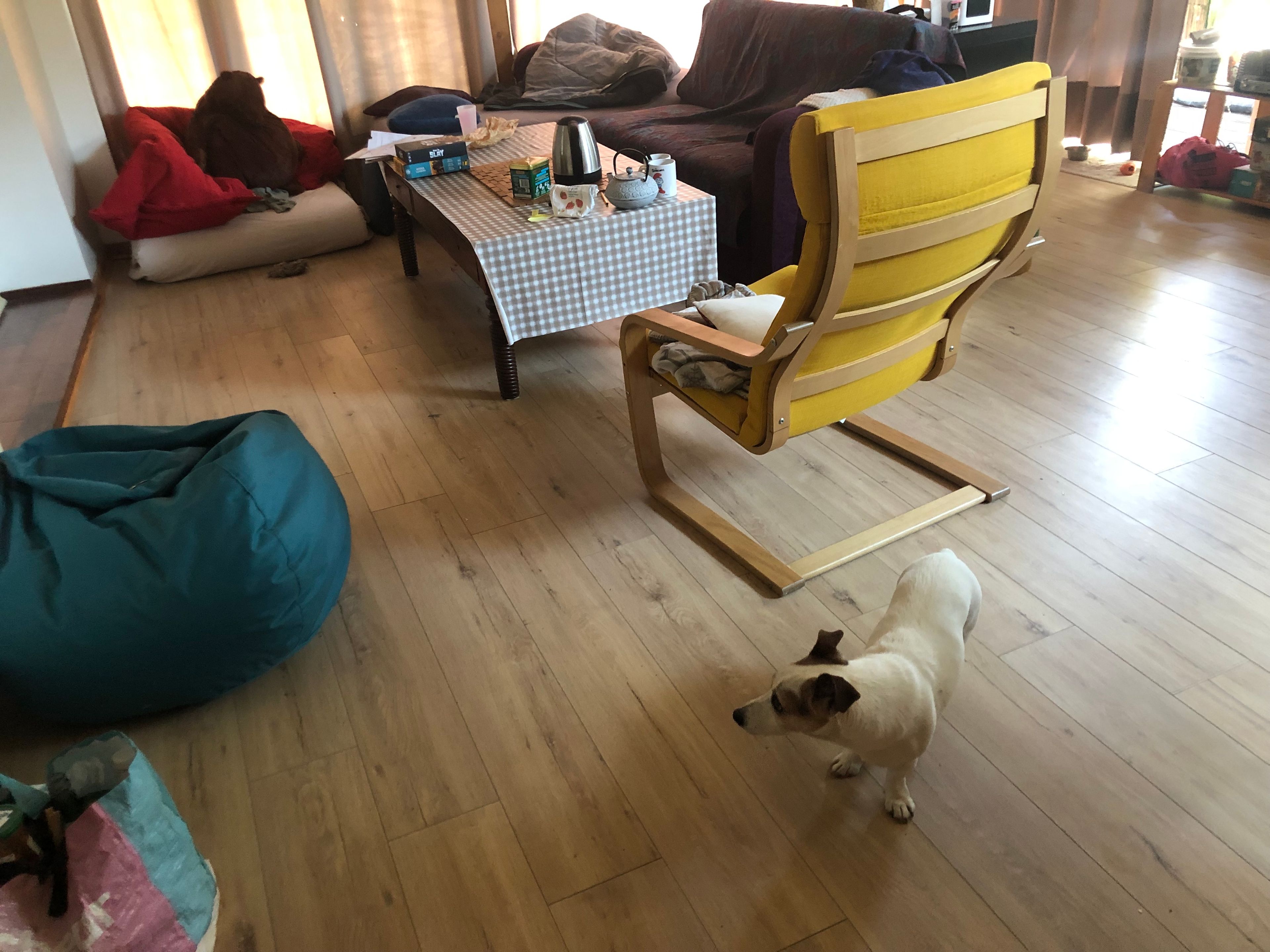image-8