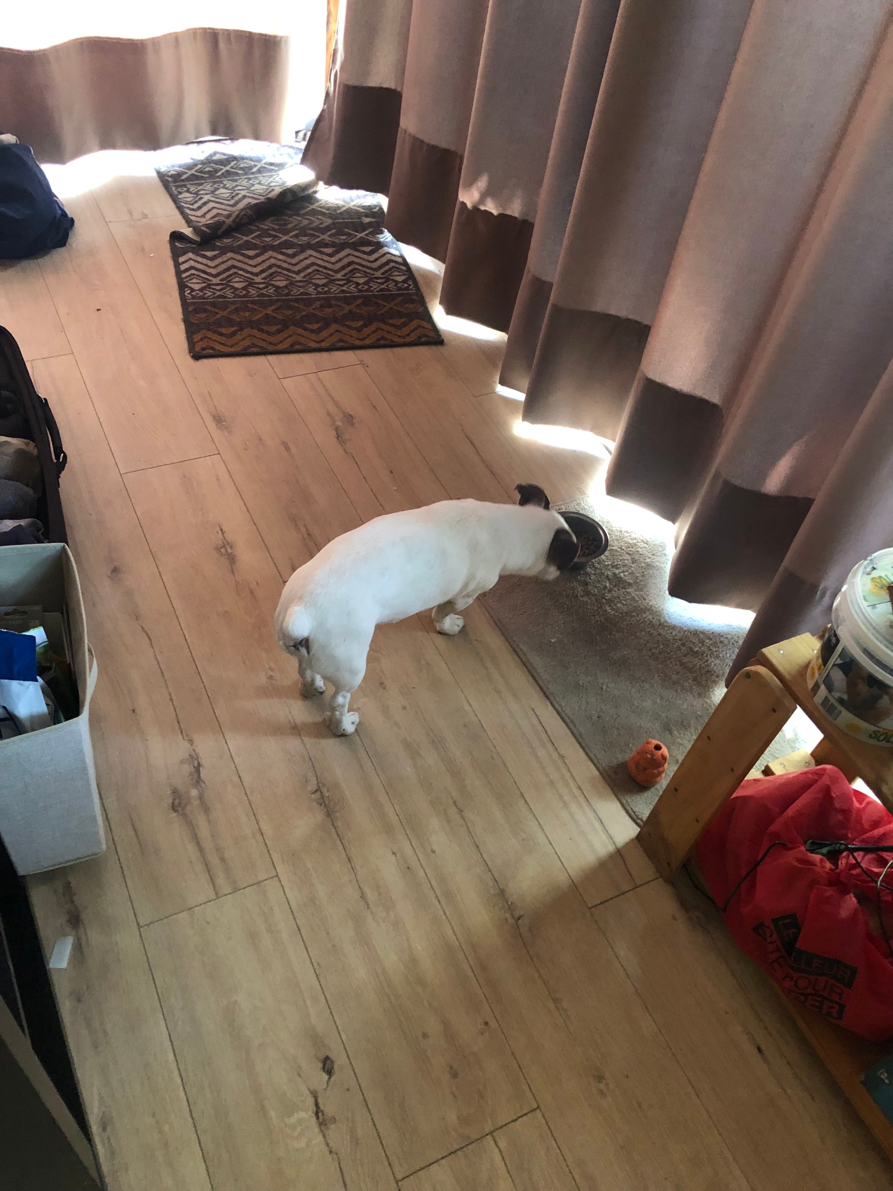 image-11