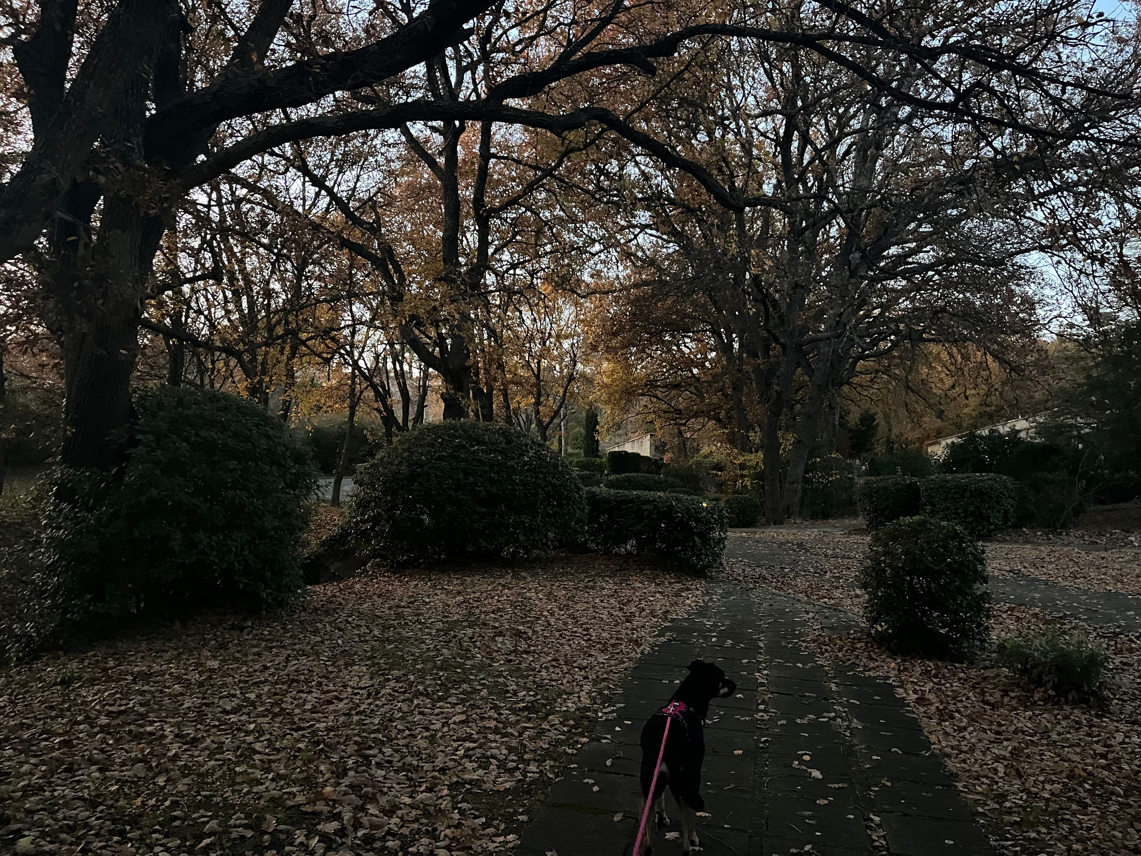 image-6