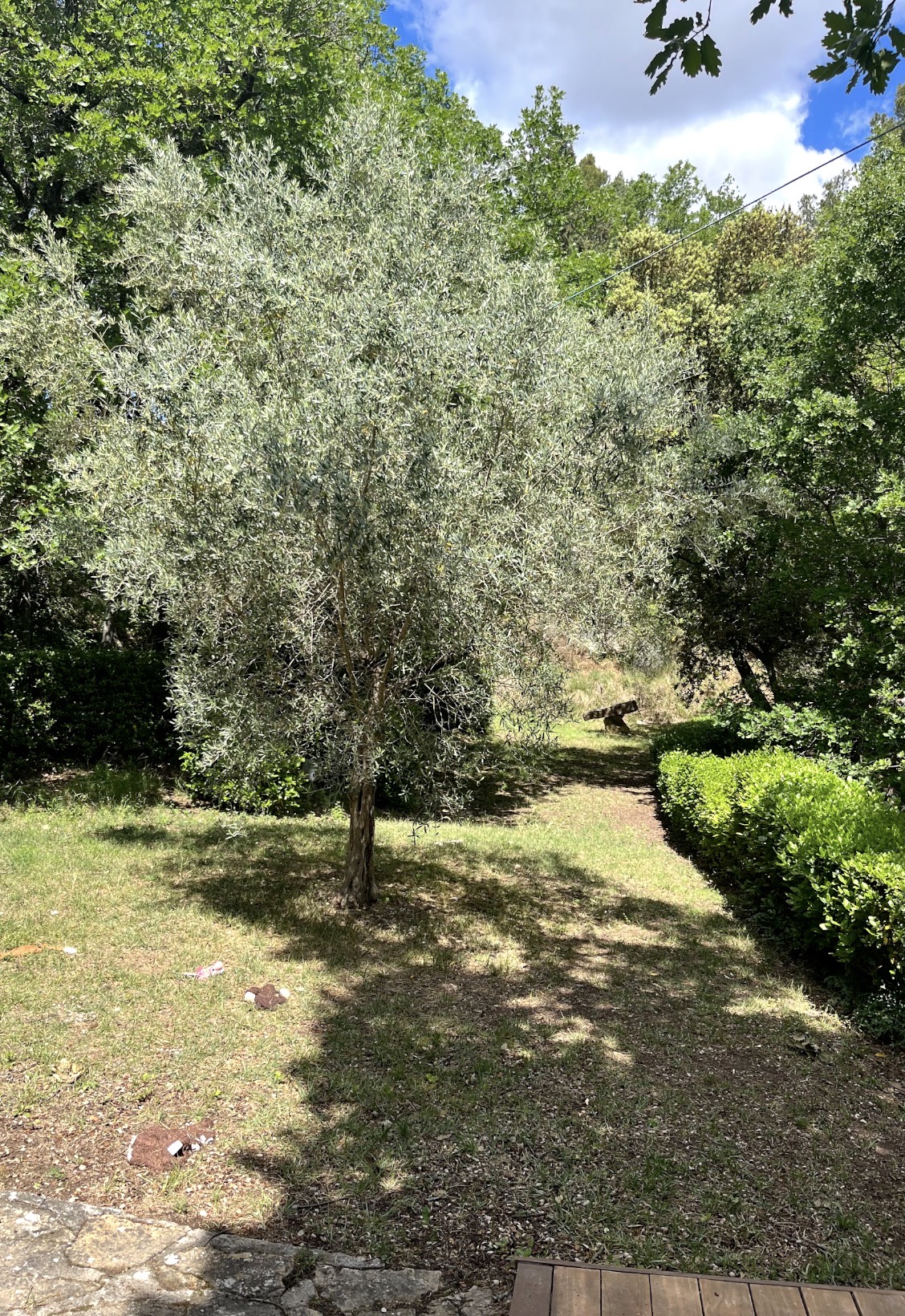 image-8
