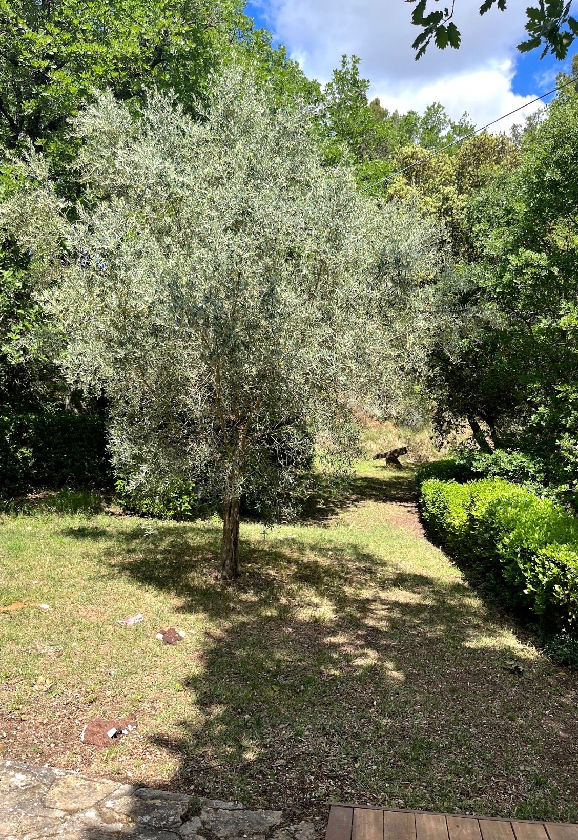 image-8