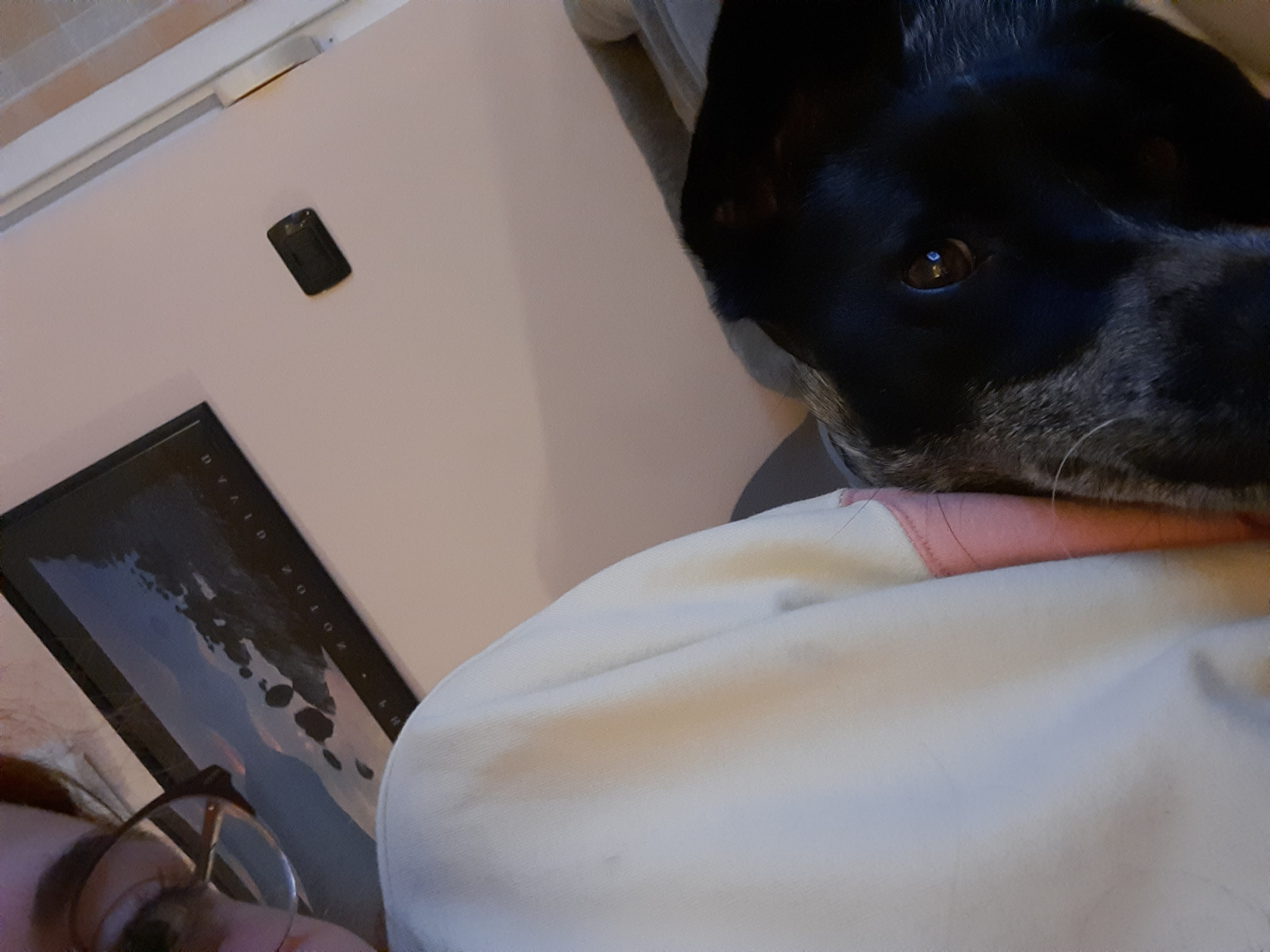 image-8