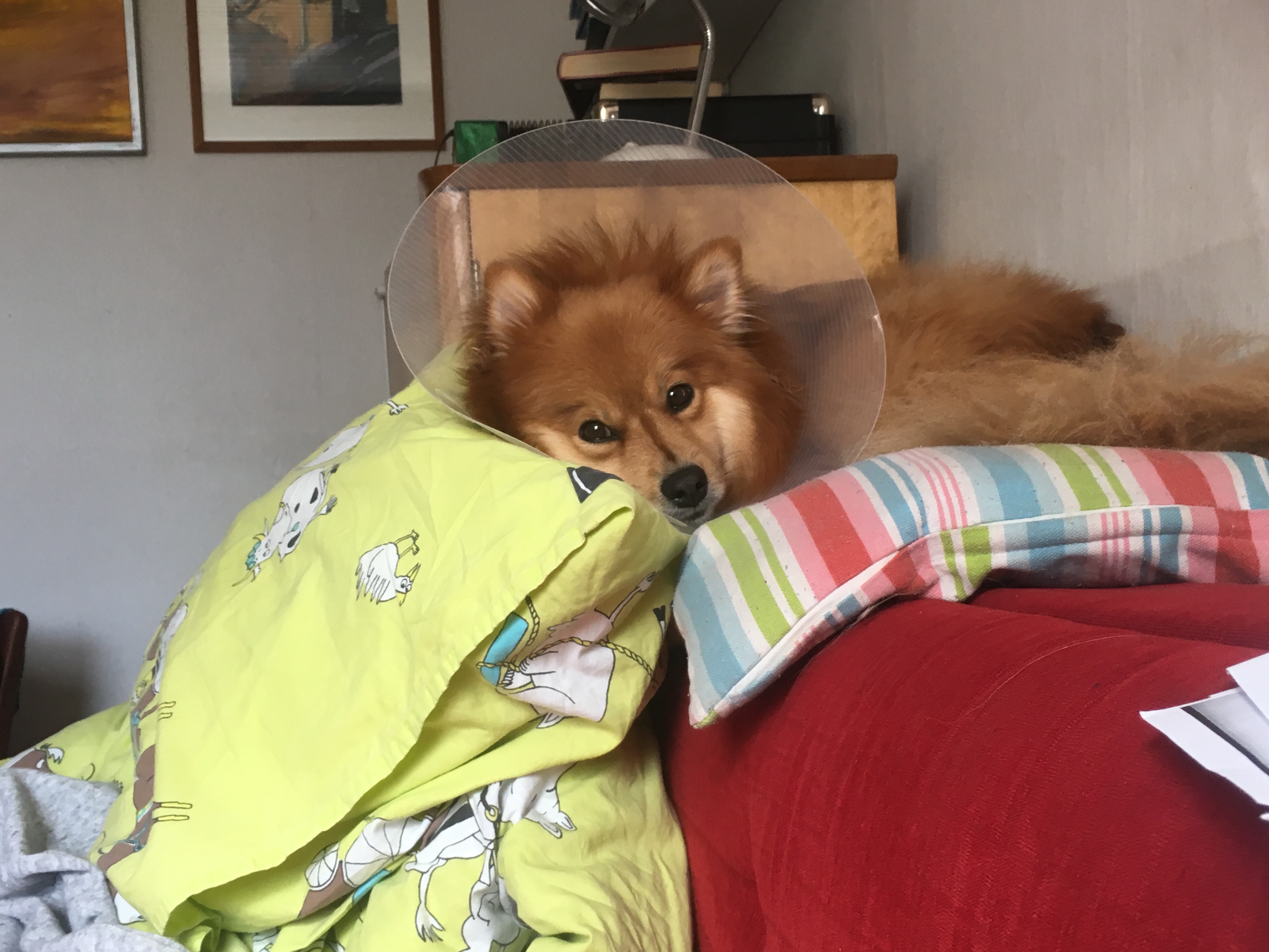 image-5