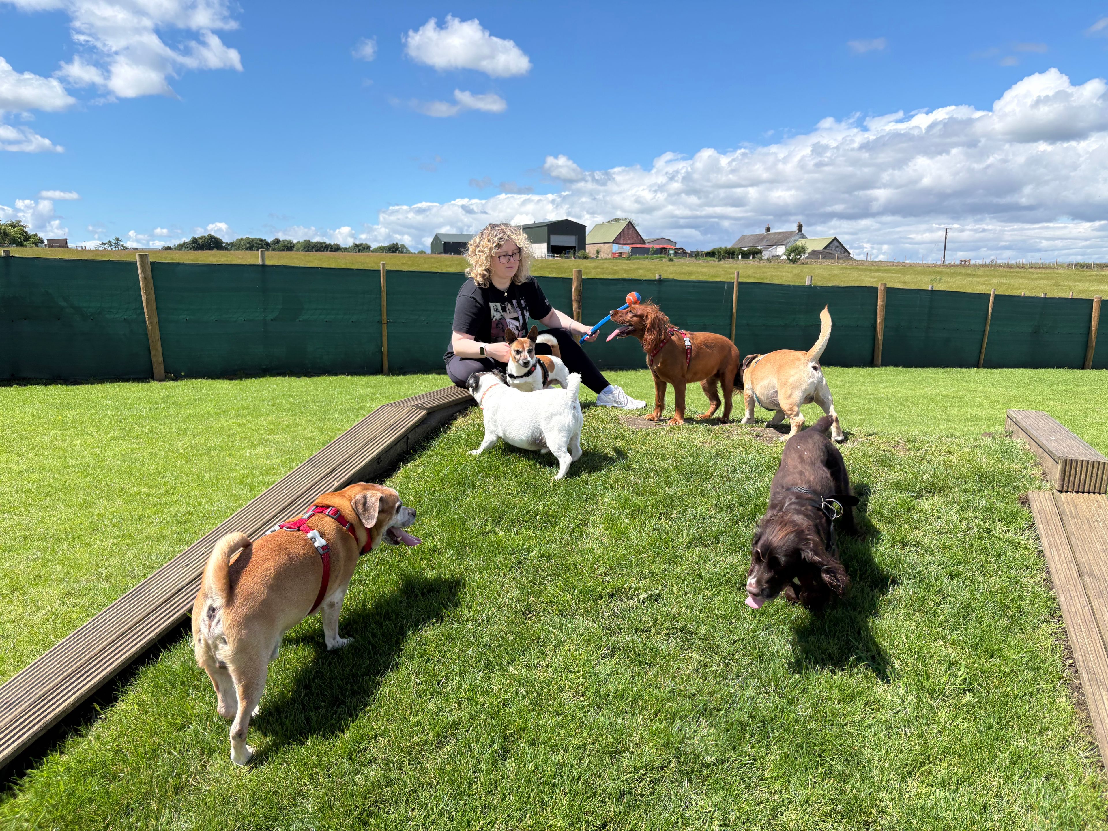 image-0