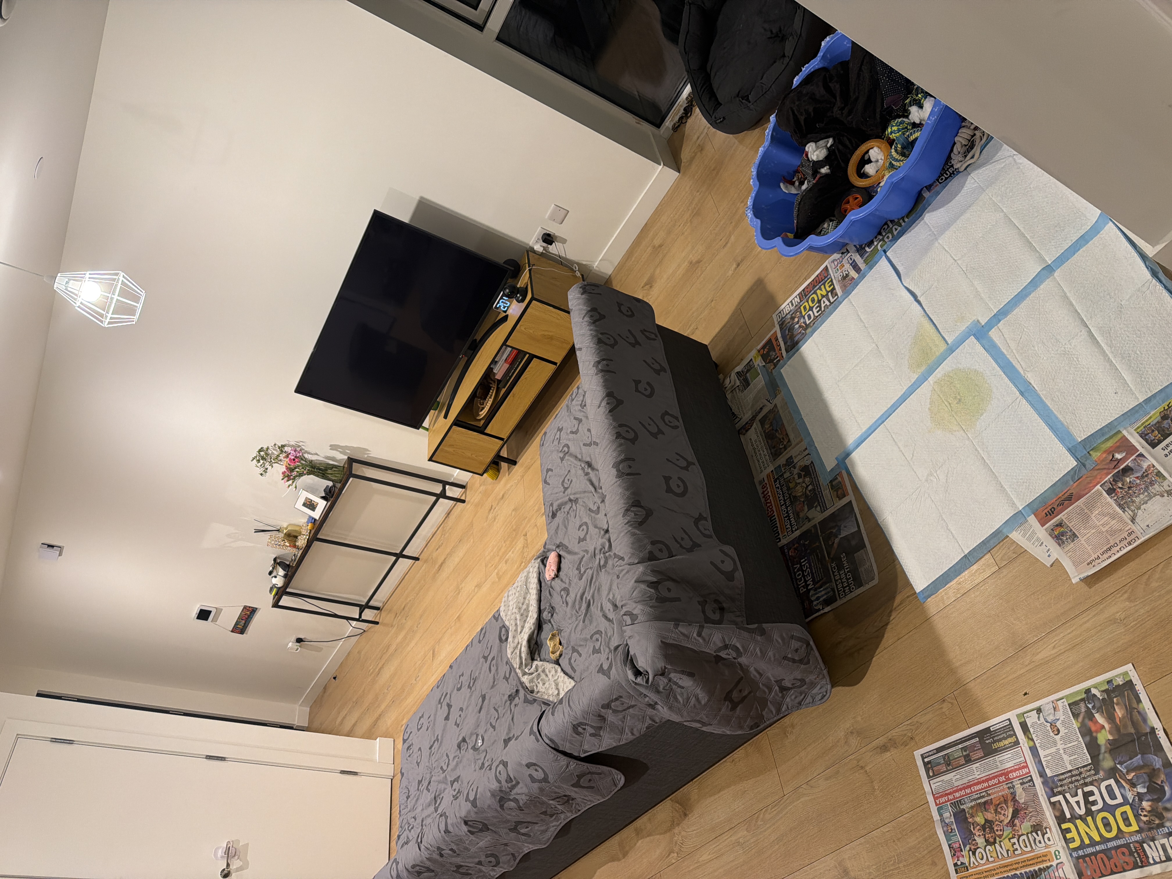 image-16