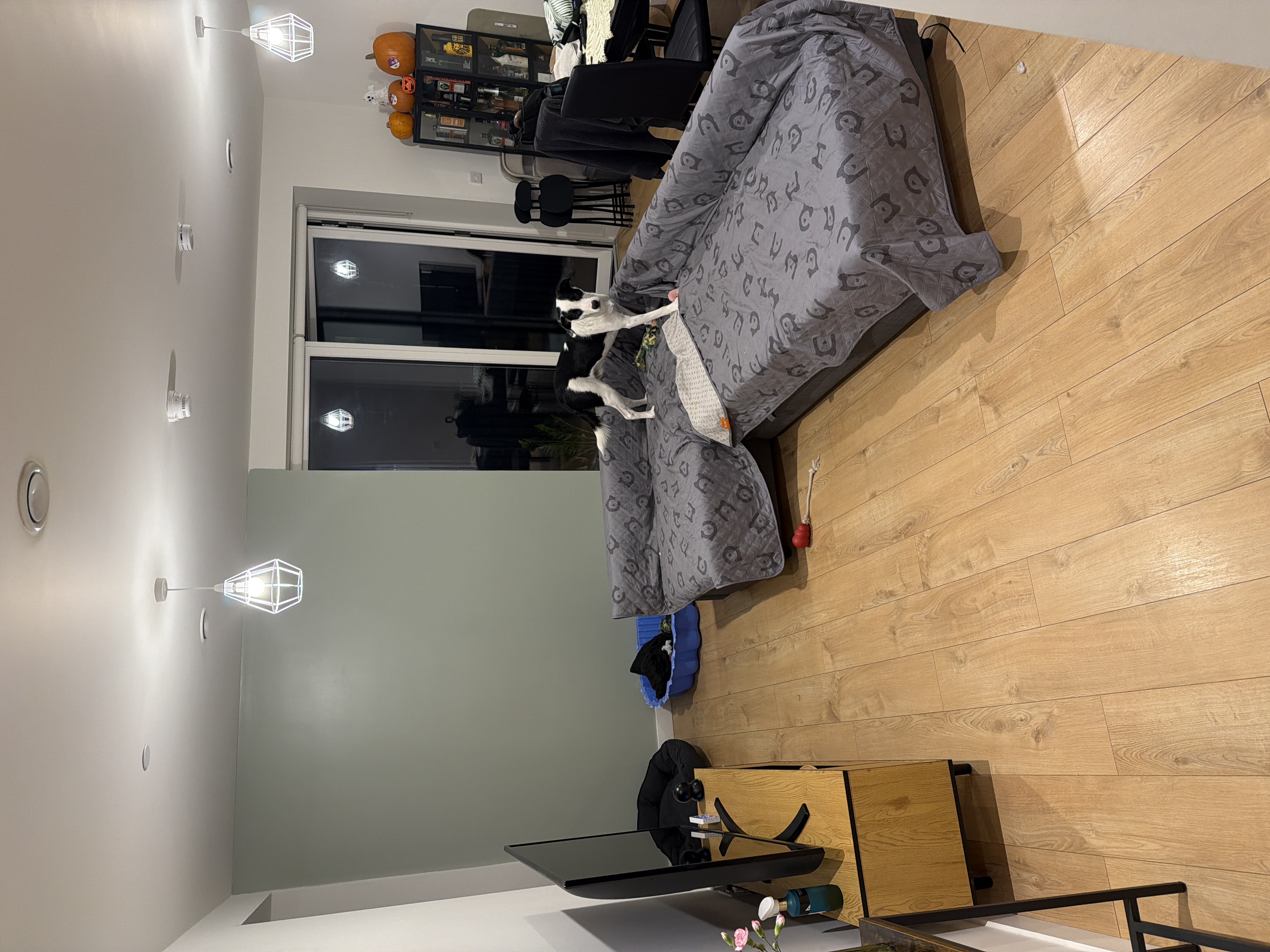image-18