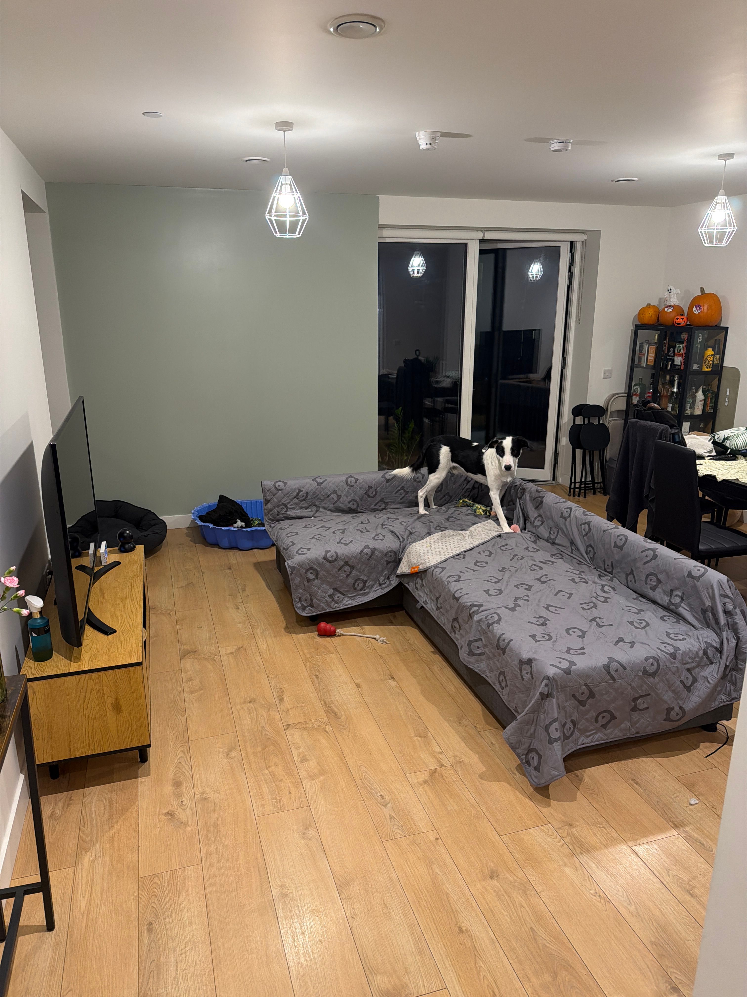 image-18