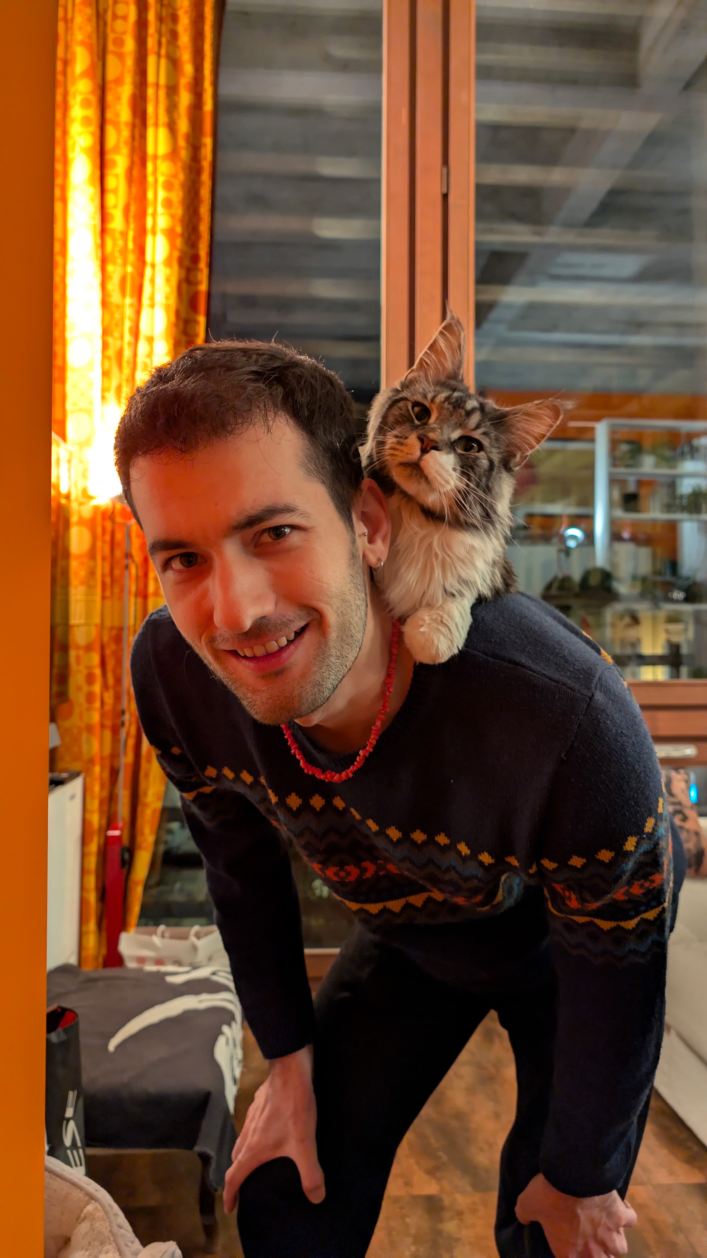 image-6