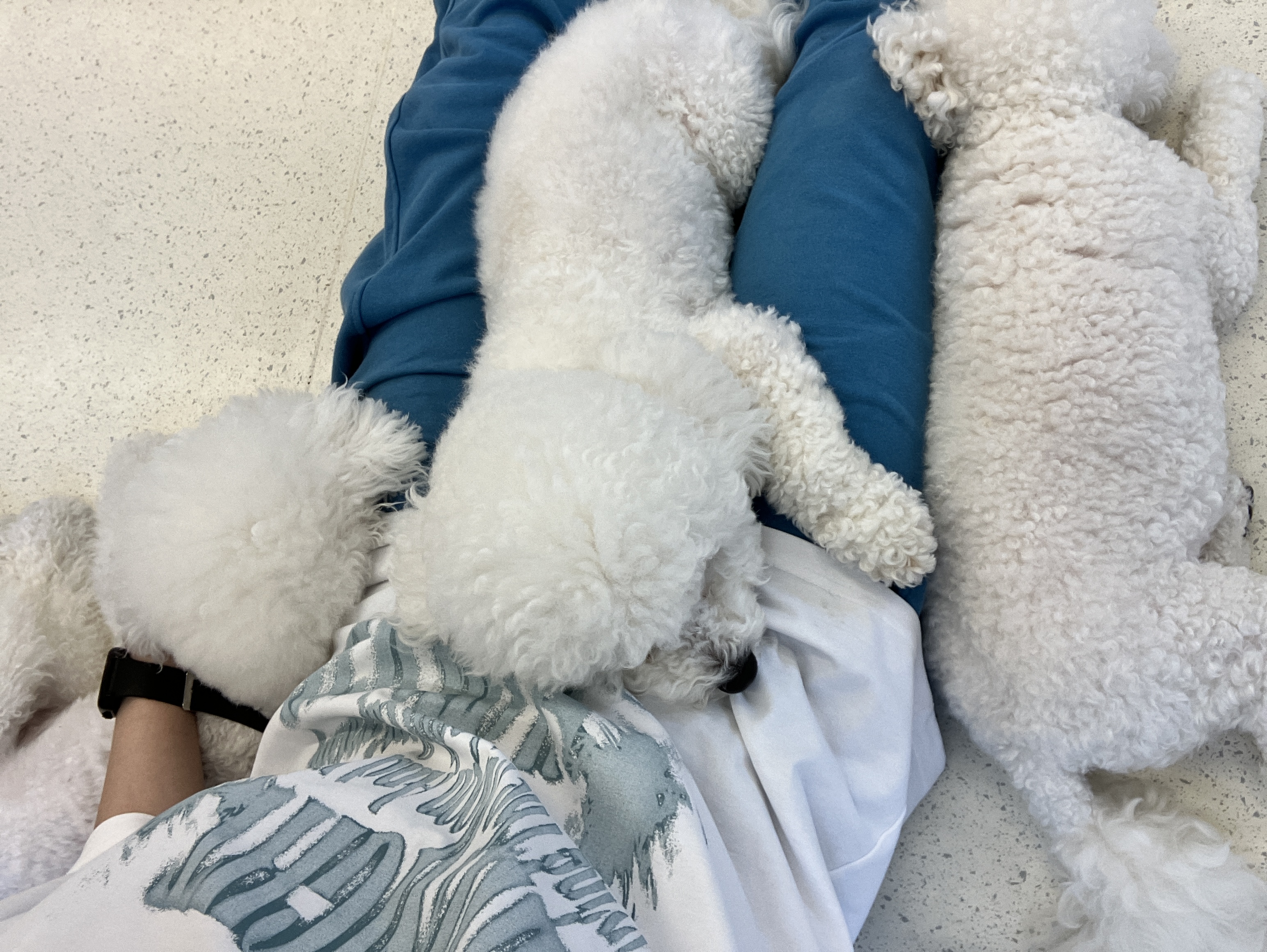 image-6