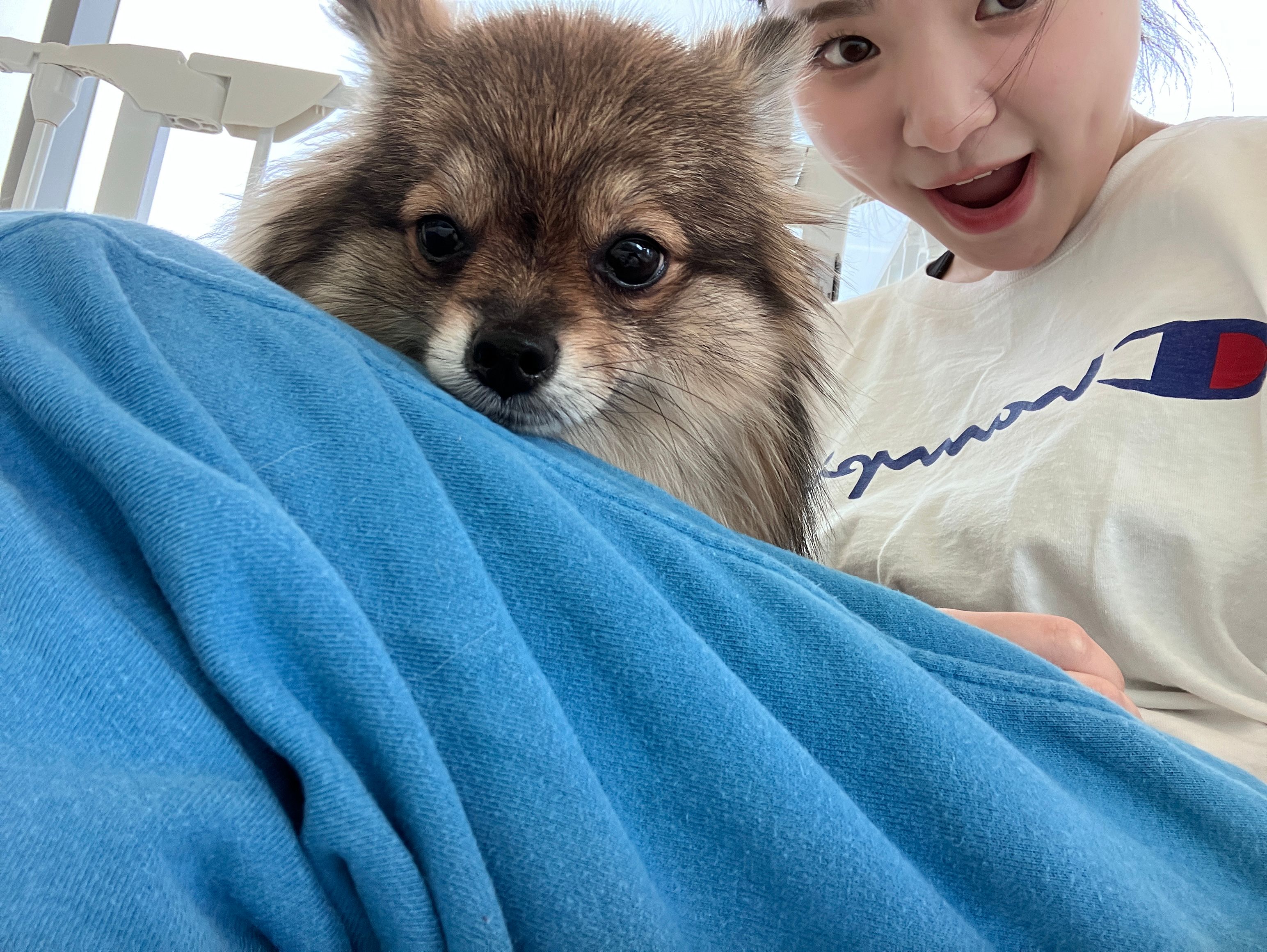 image-12
