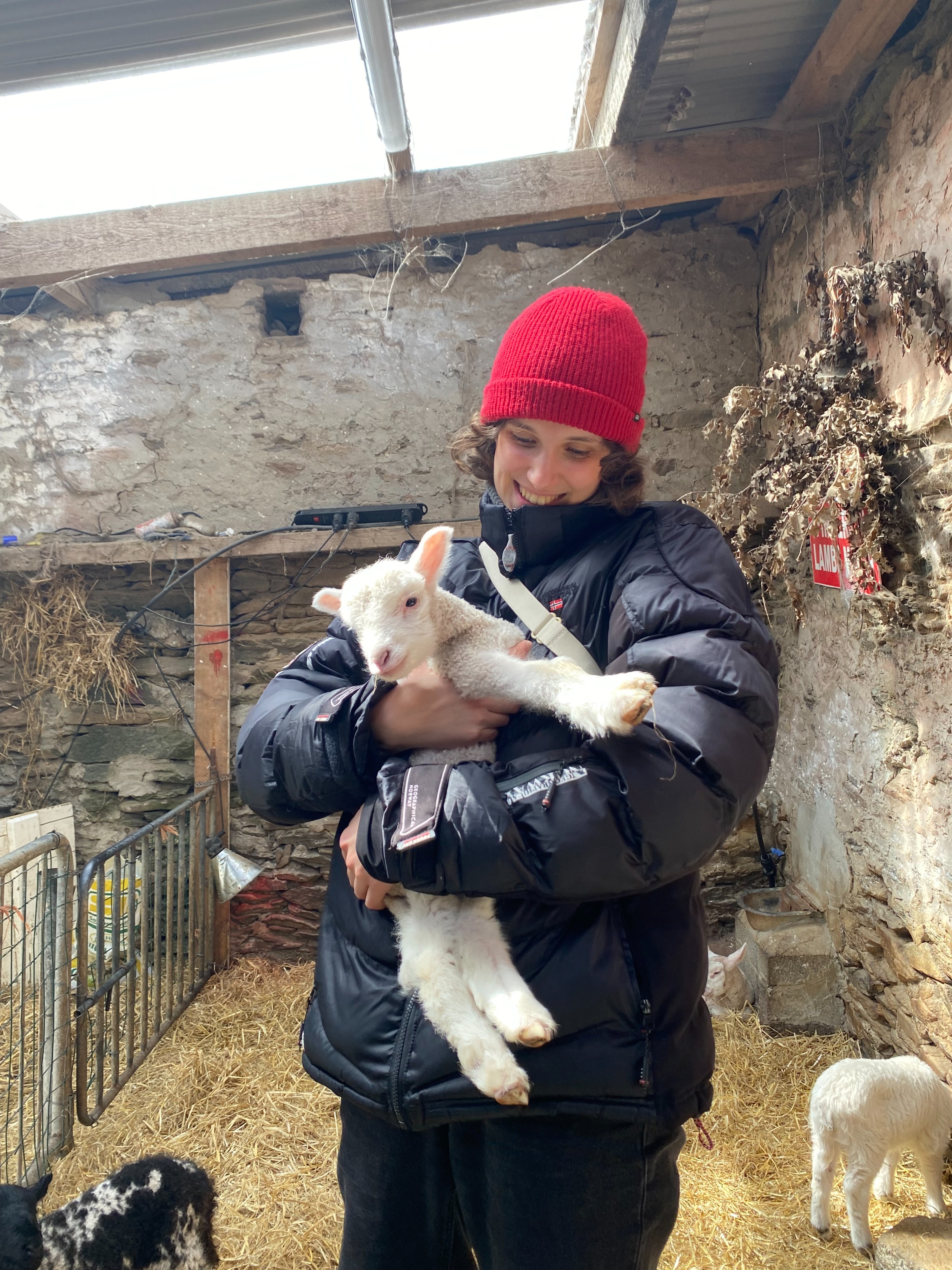 image-6