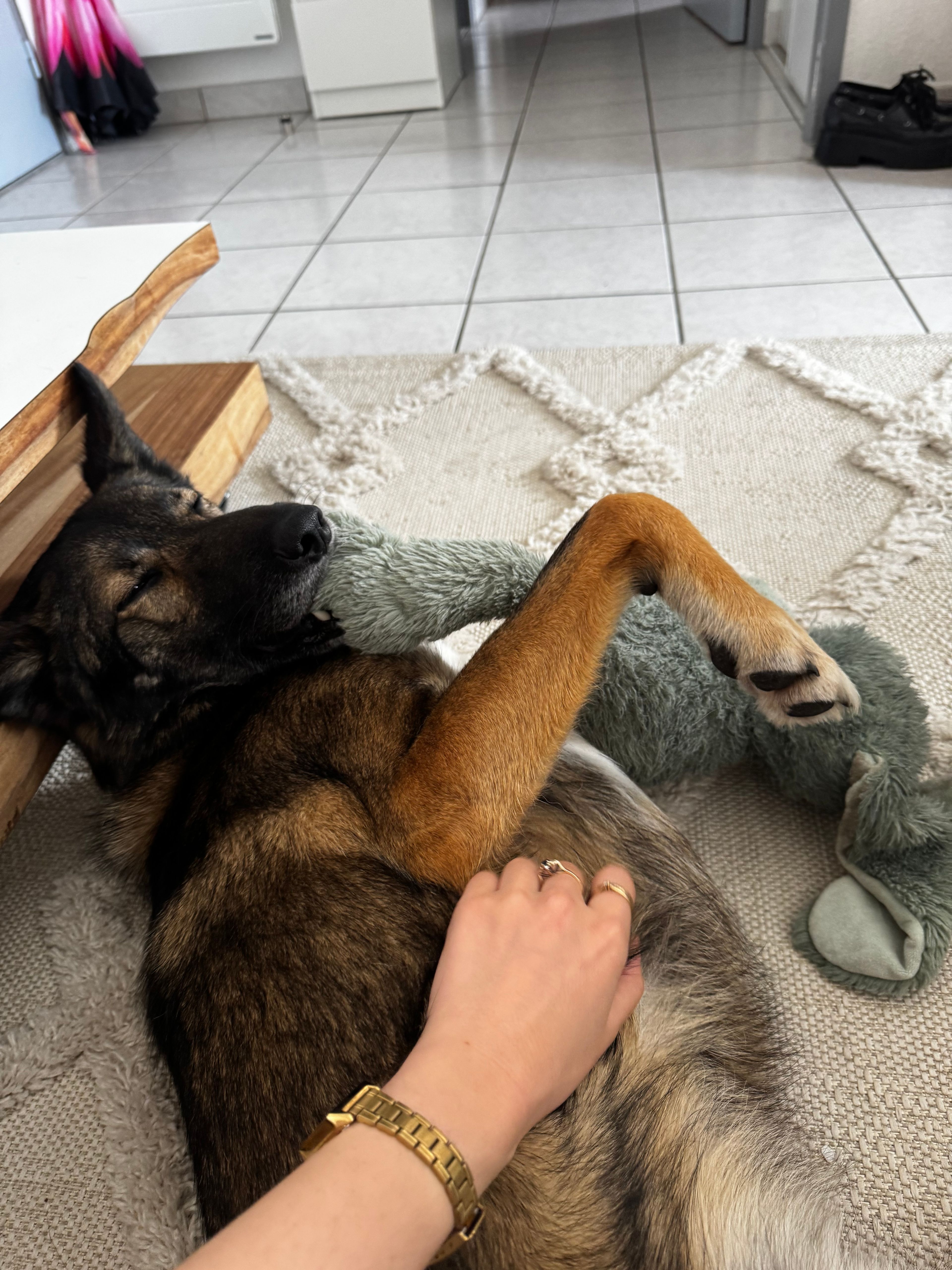image-16