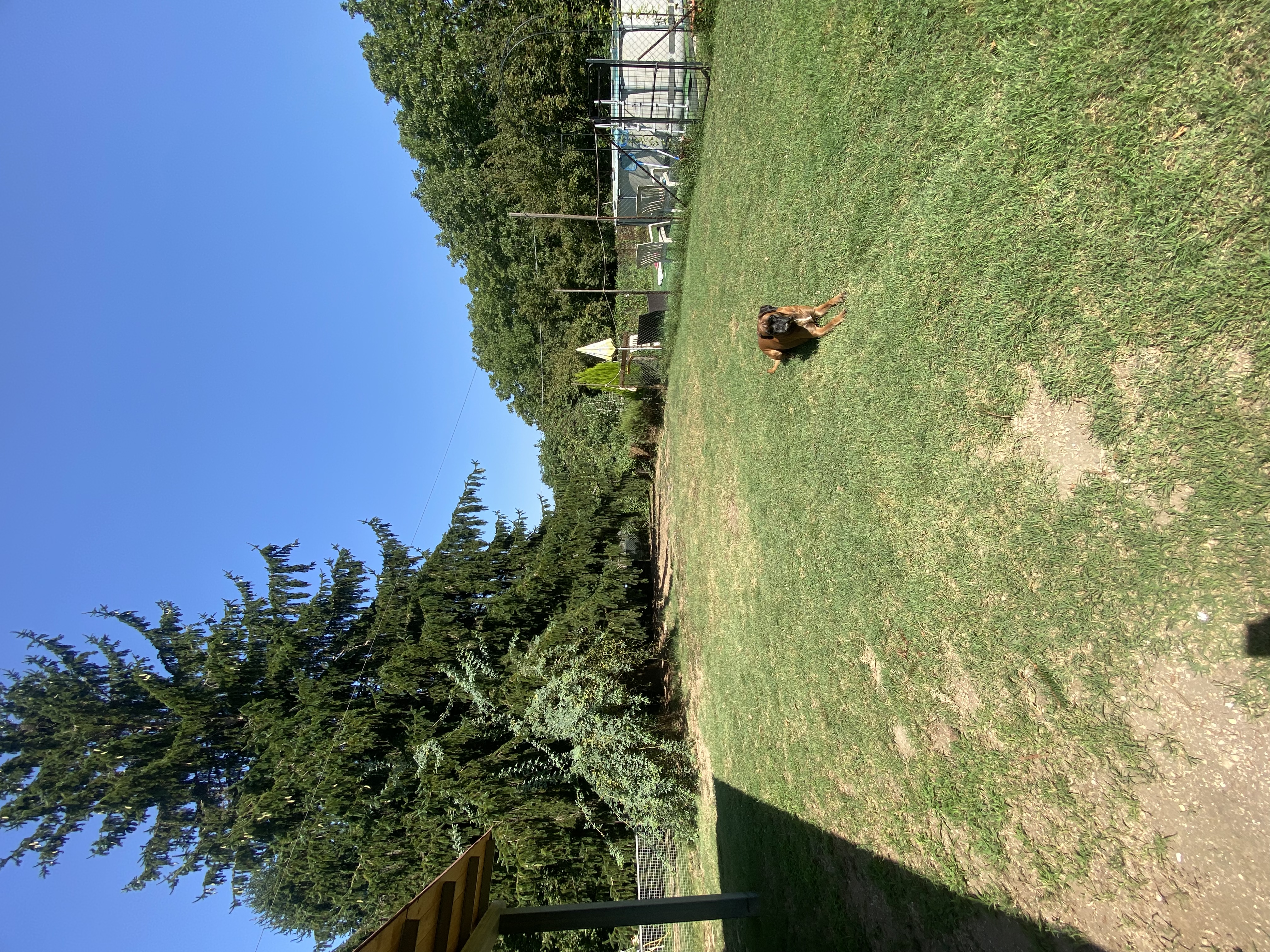 image-18