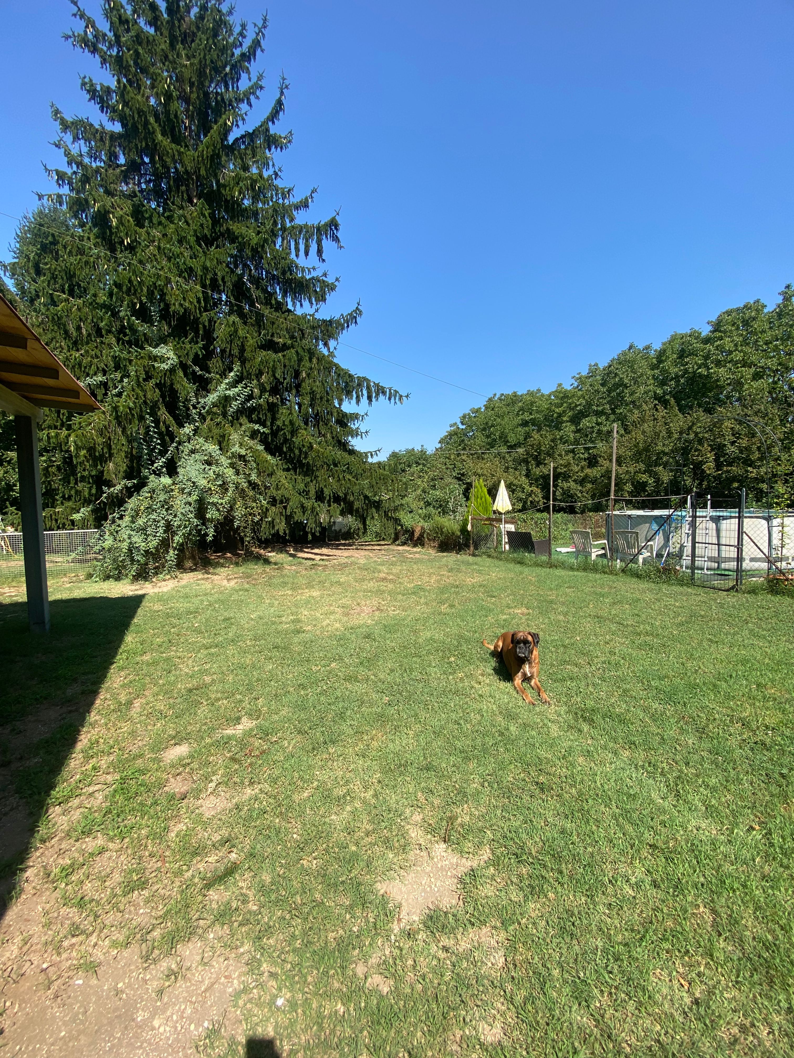 image-18