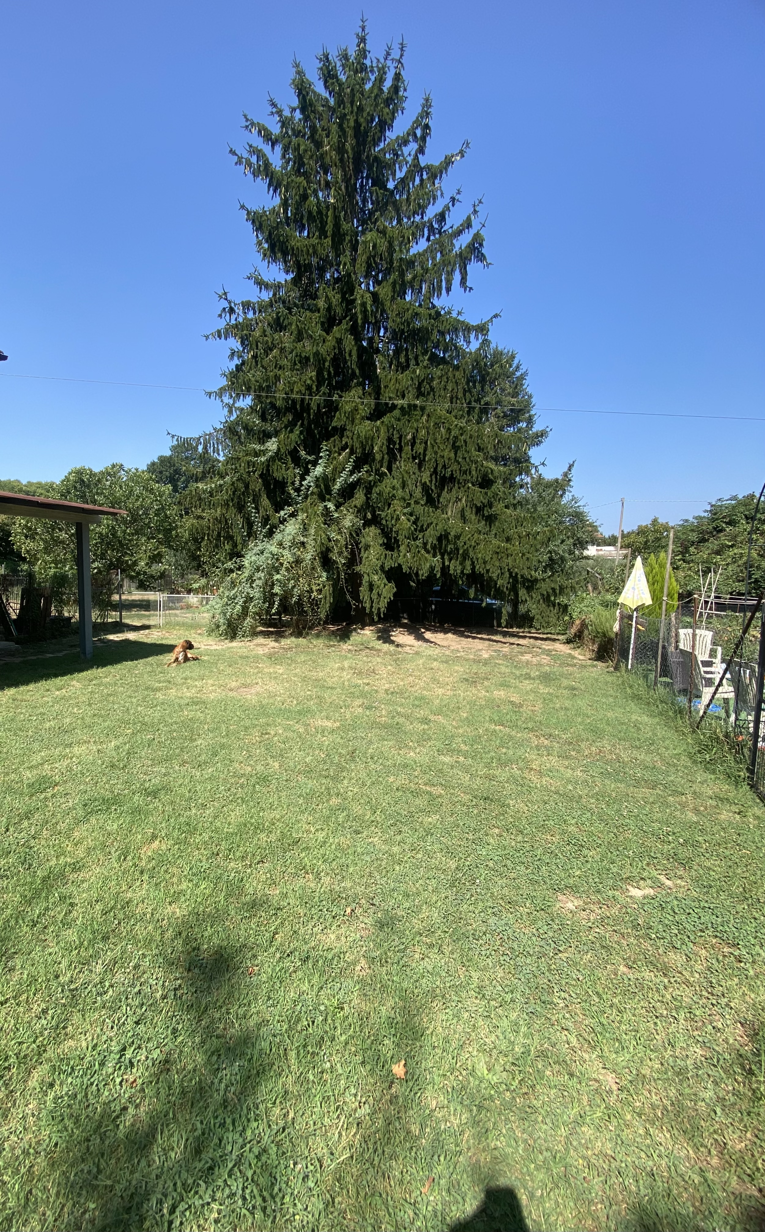 image-19