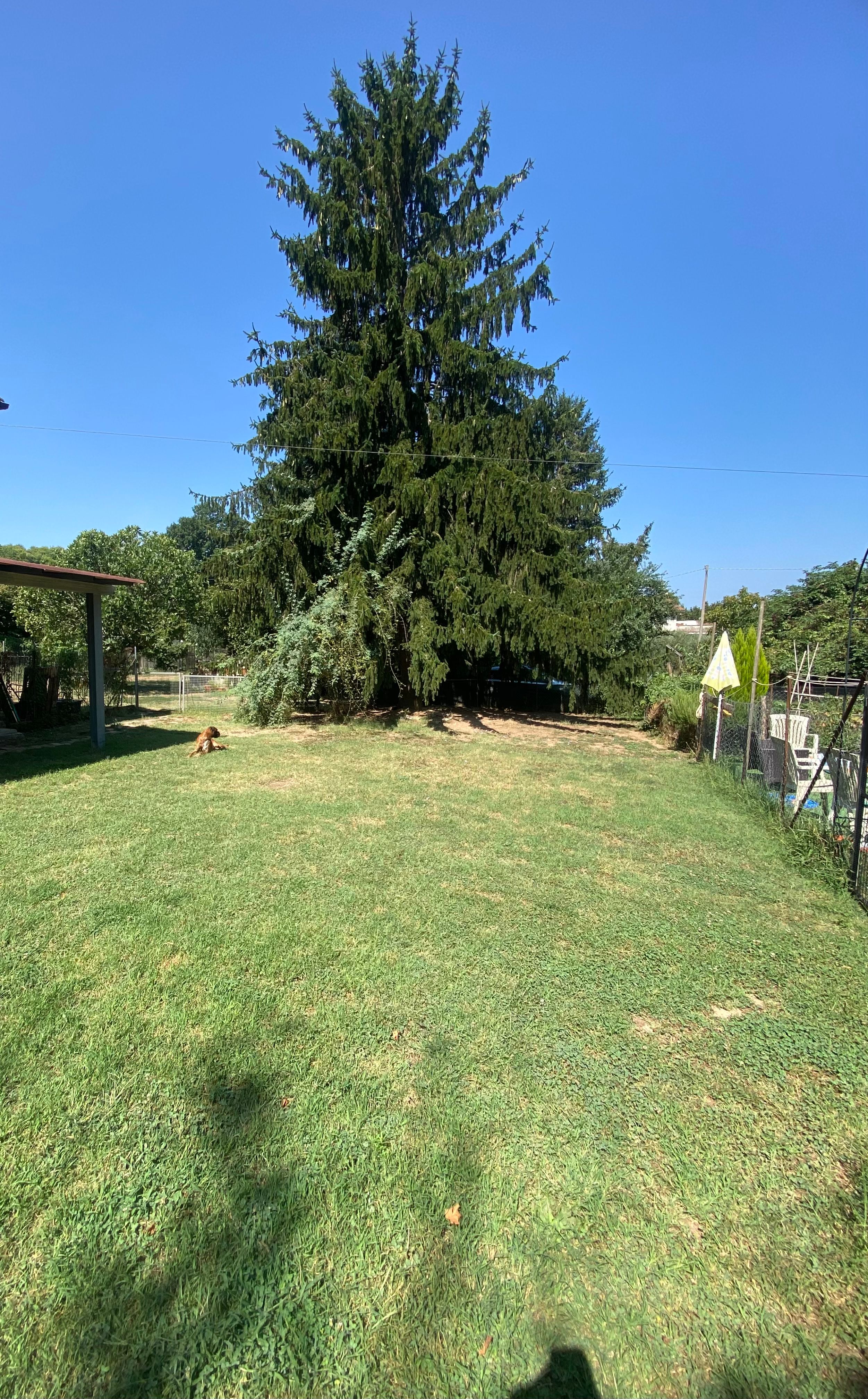 image-19