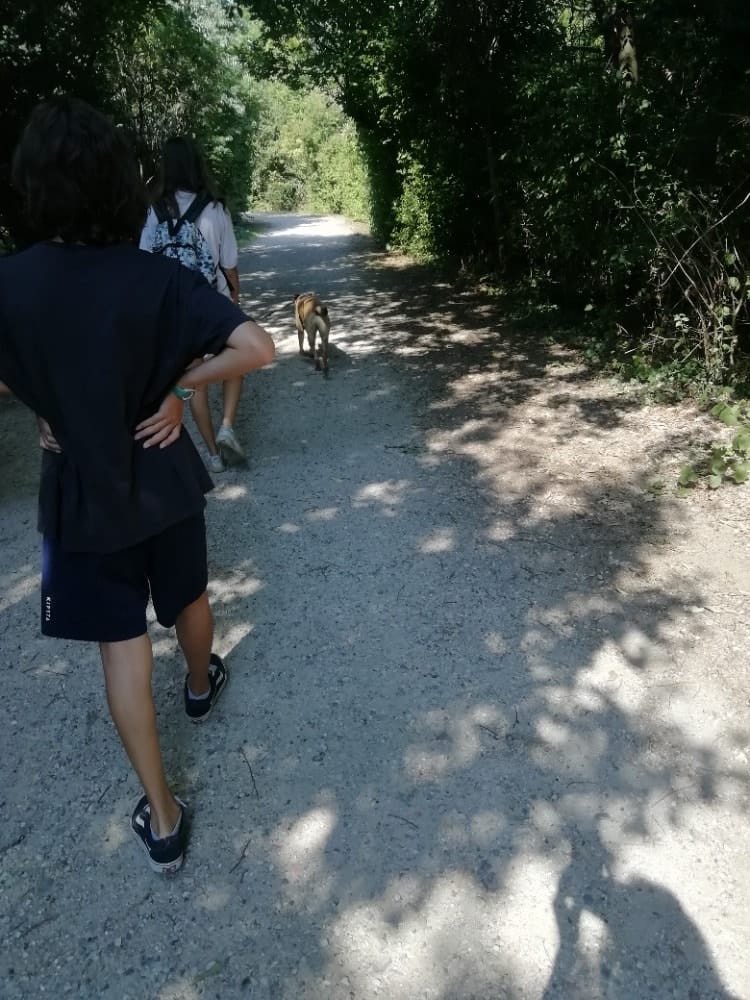 image-9