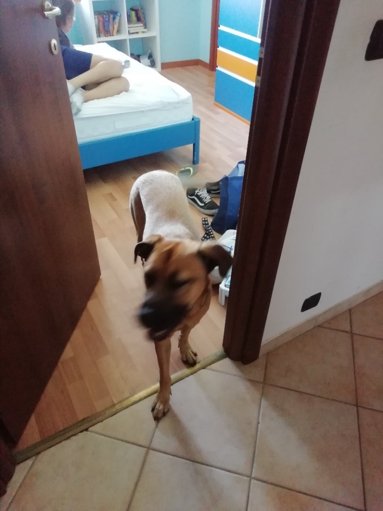 image-6