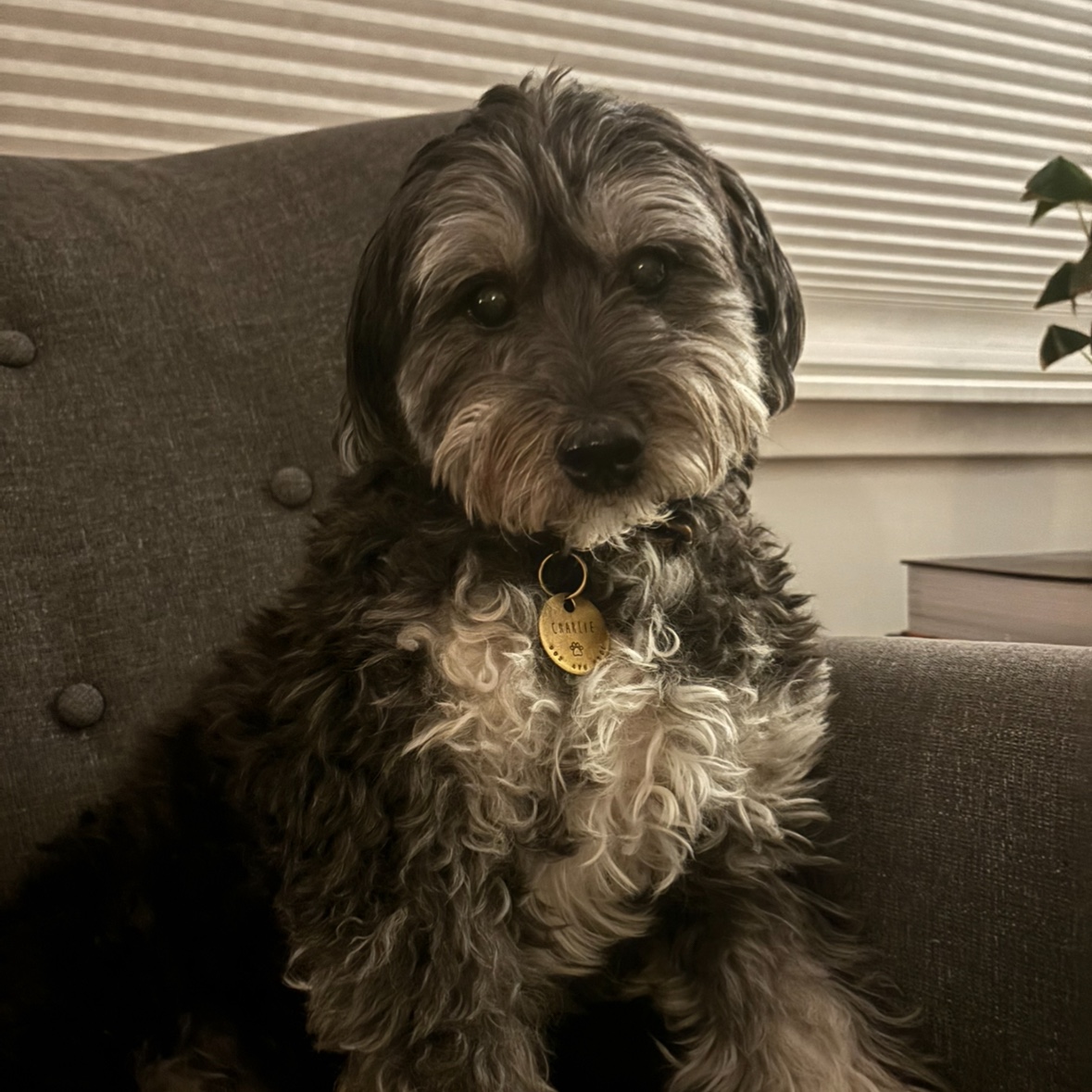 Charlie