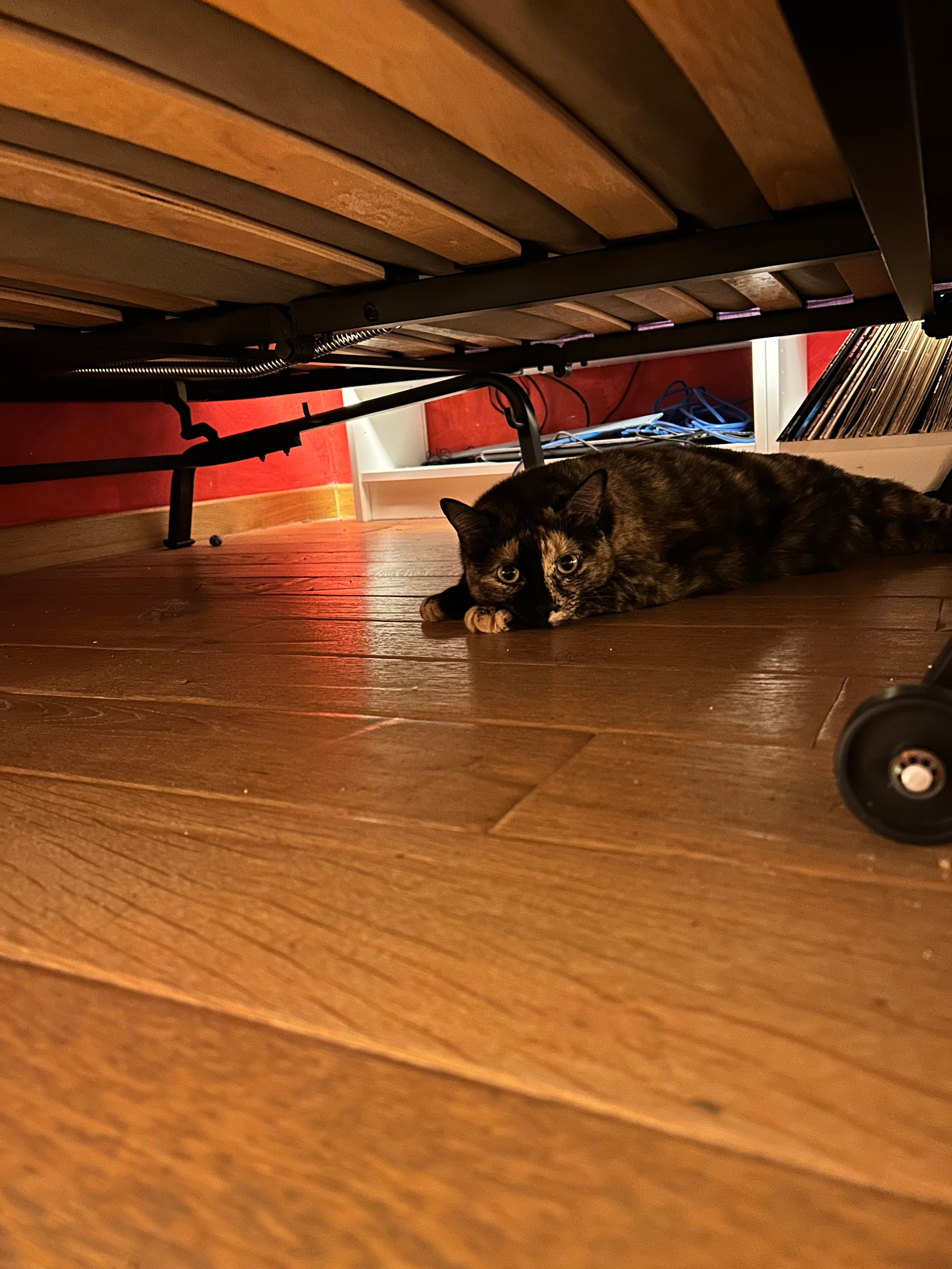 image-6