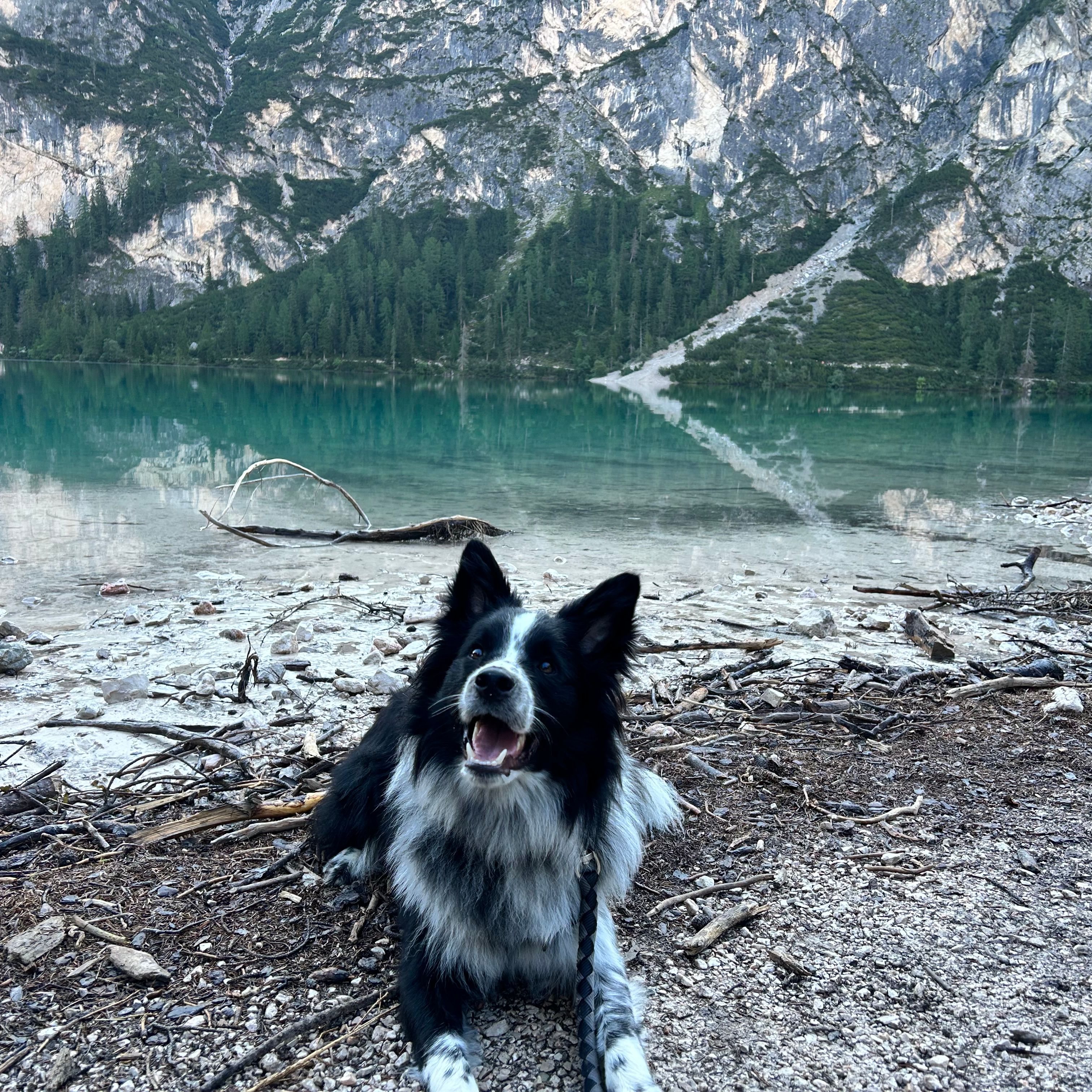 Milo