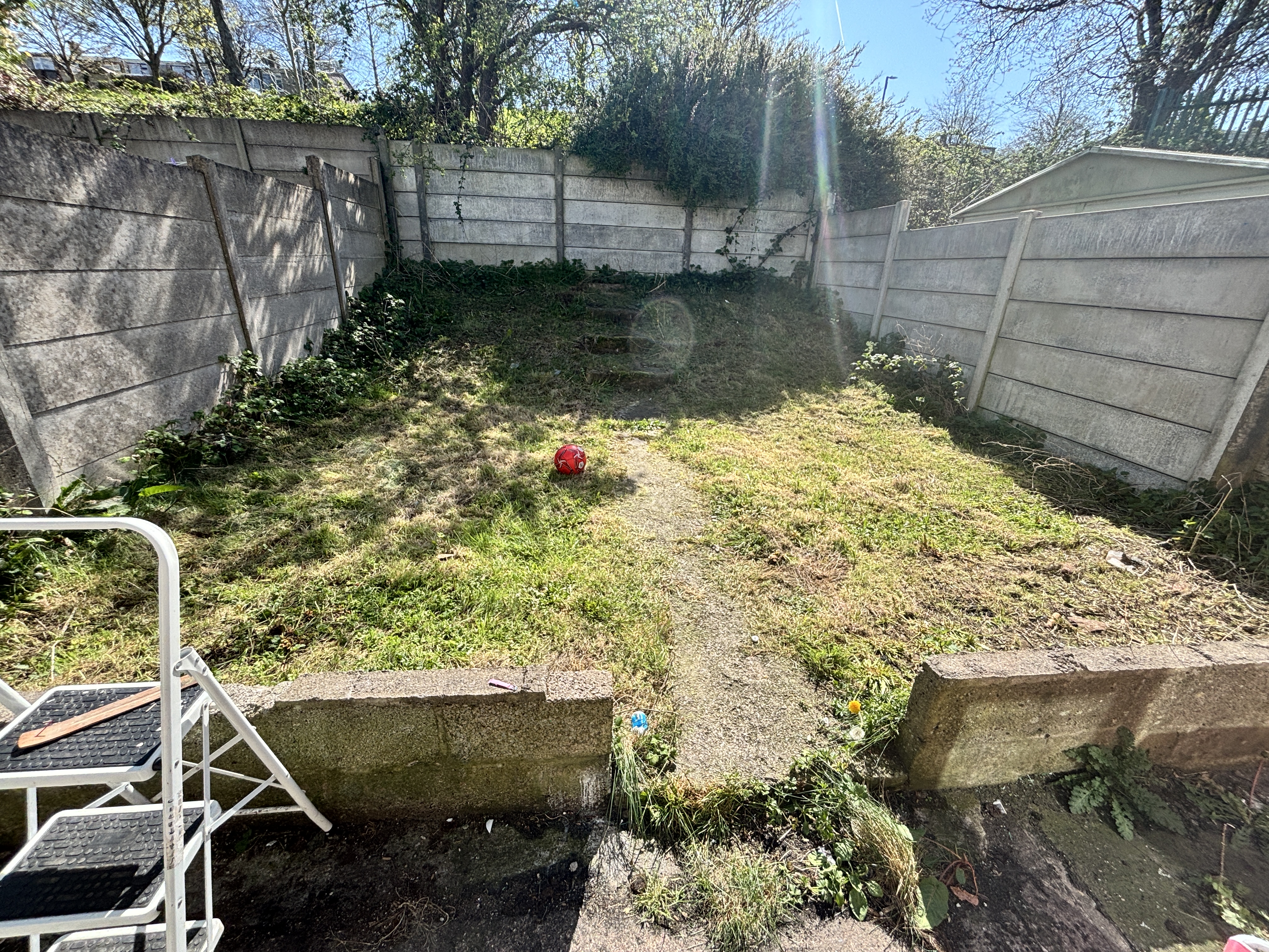 image-18