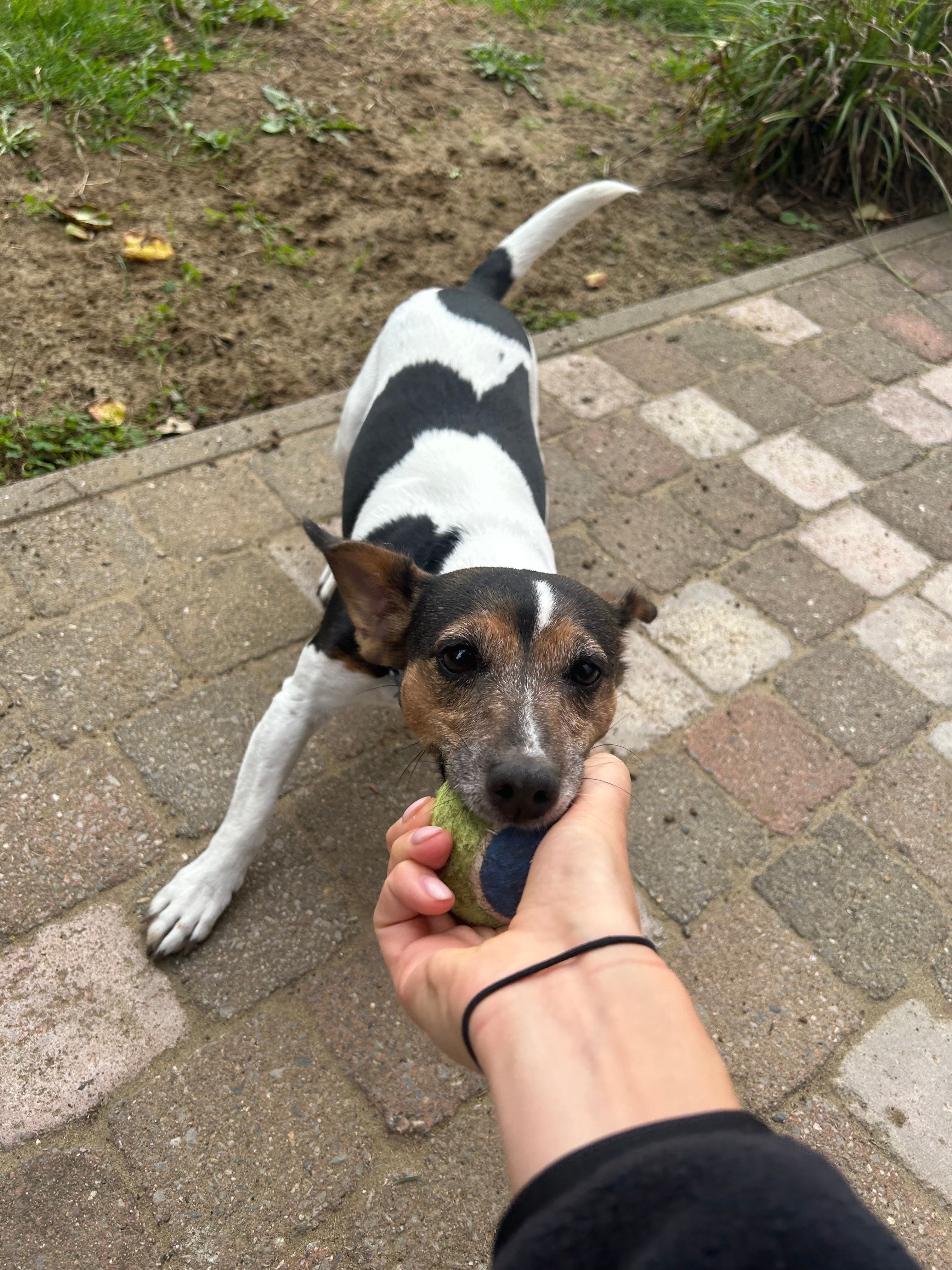 image-11