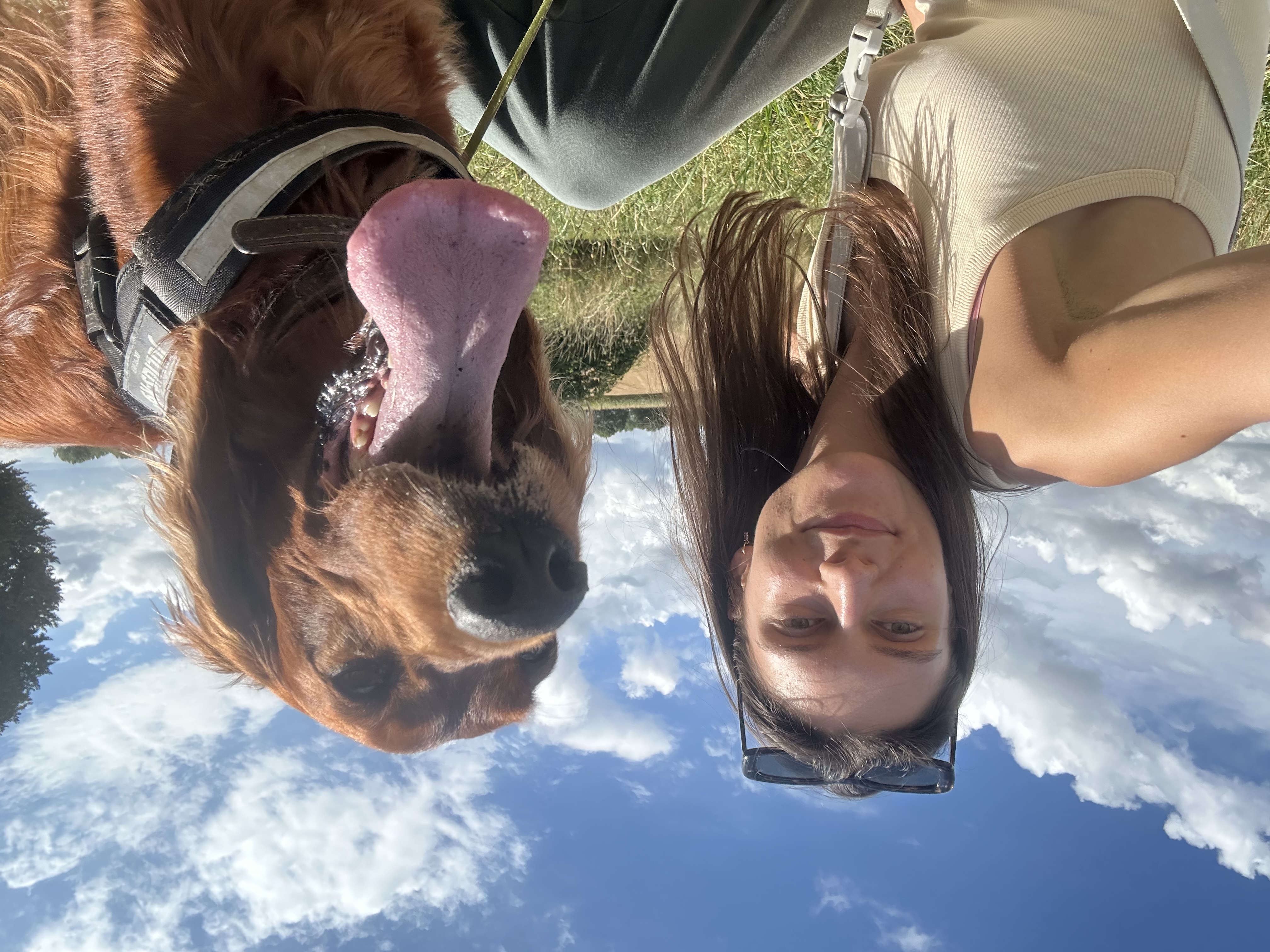 image-0