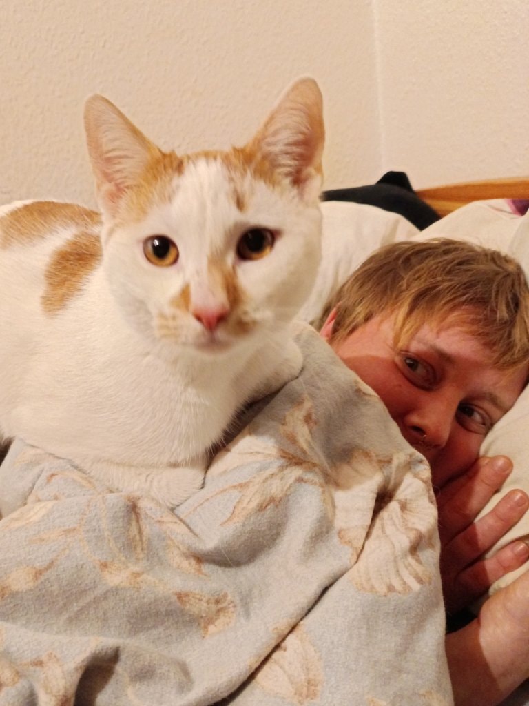 image-4