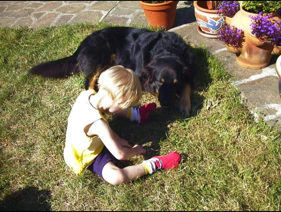 image-9