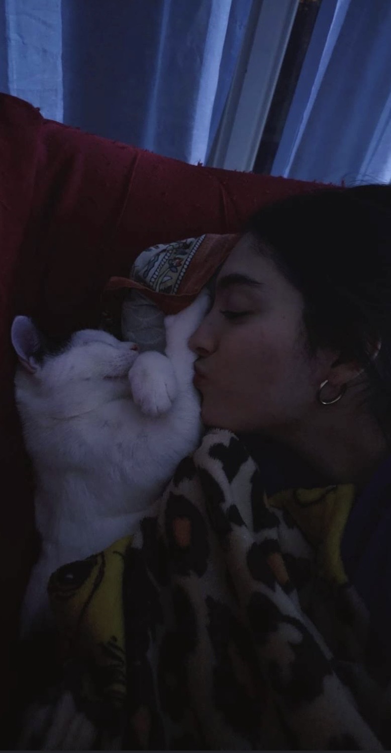 image-7