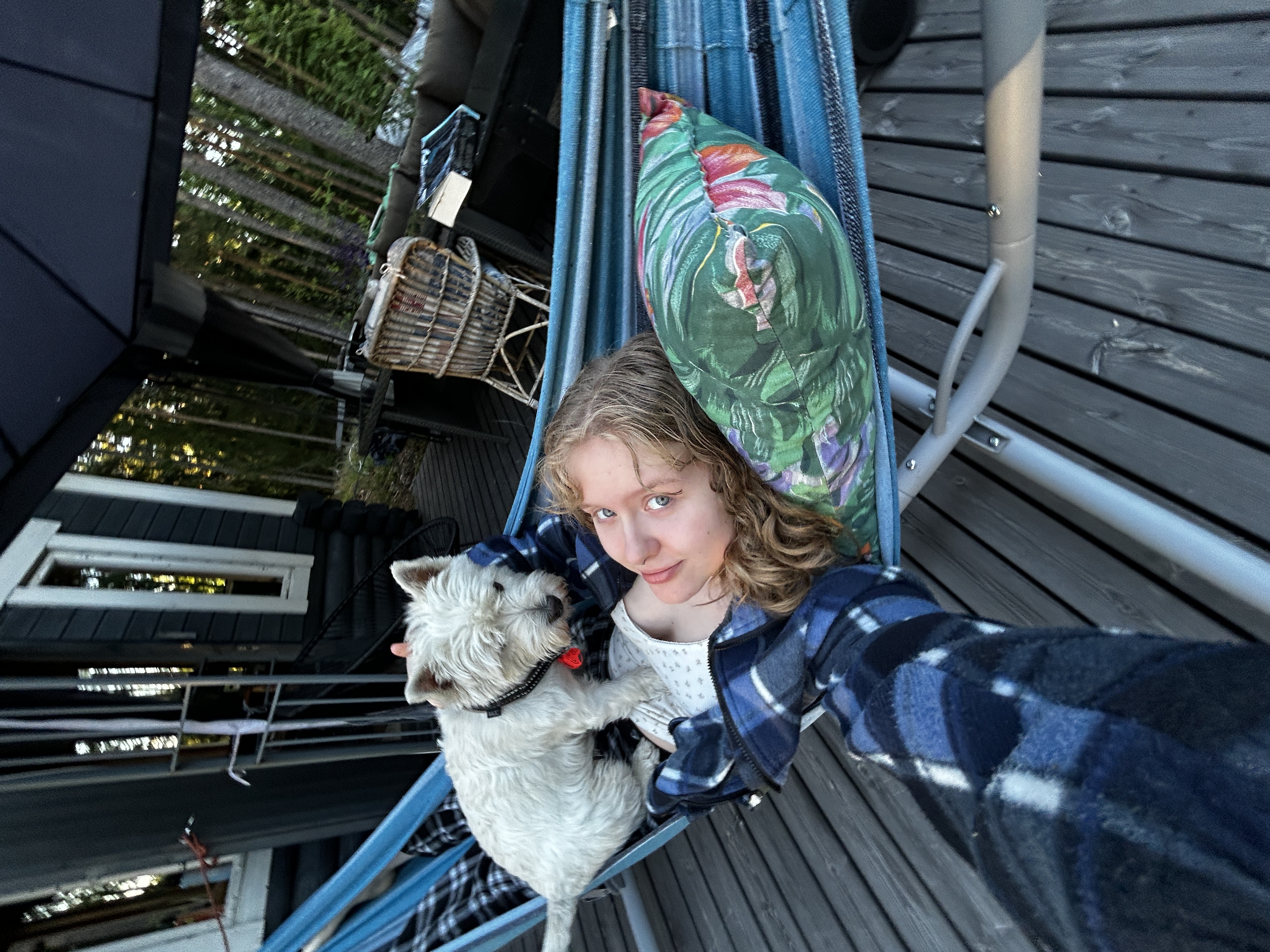 image-7