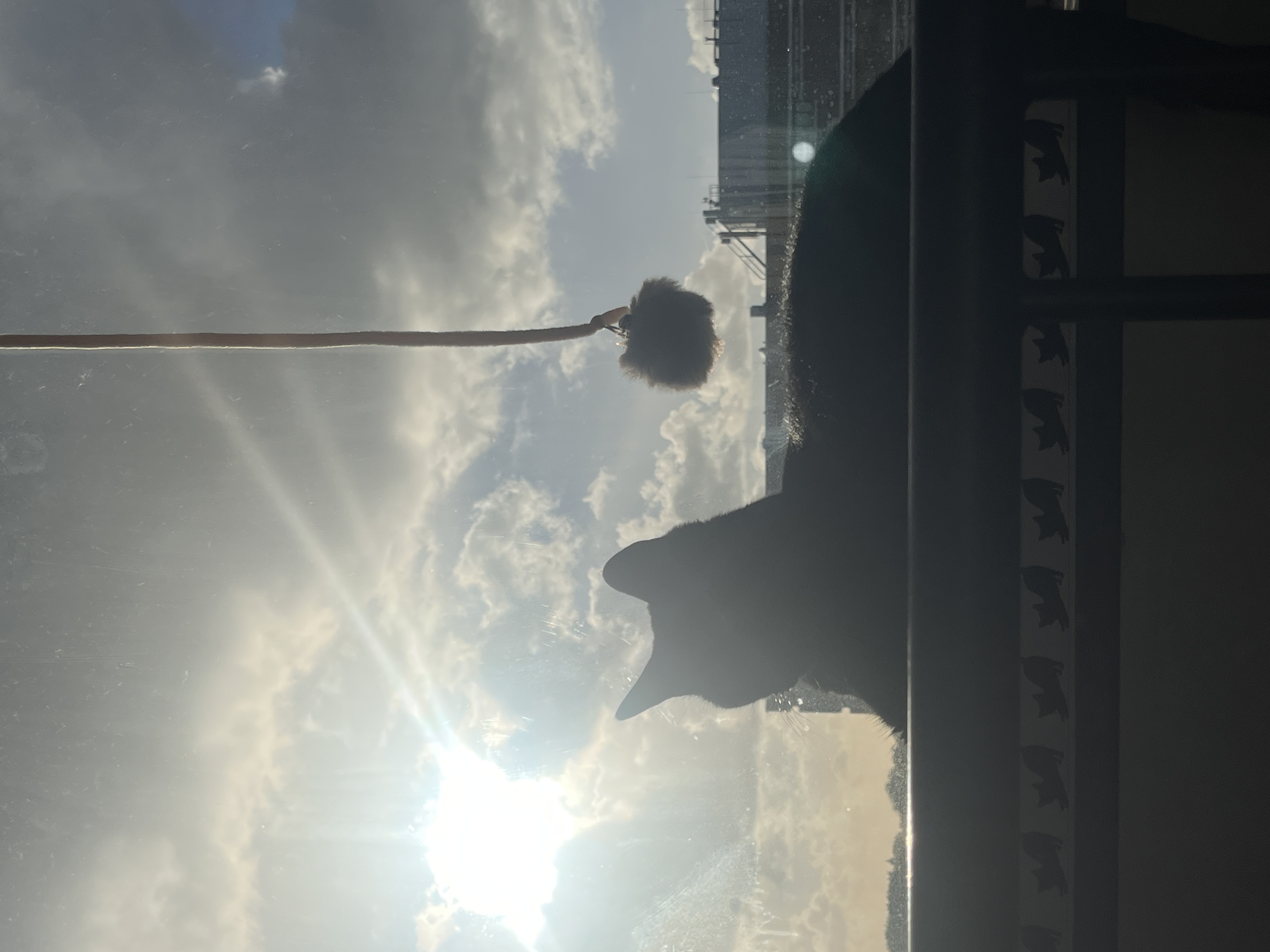 image-7