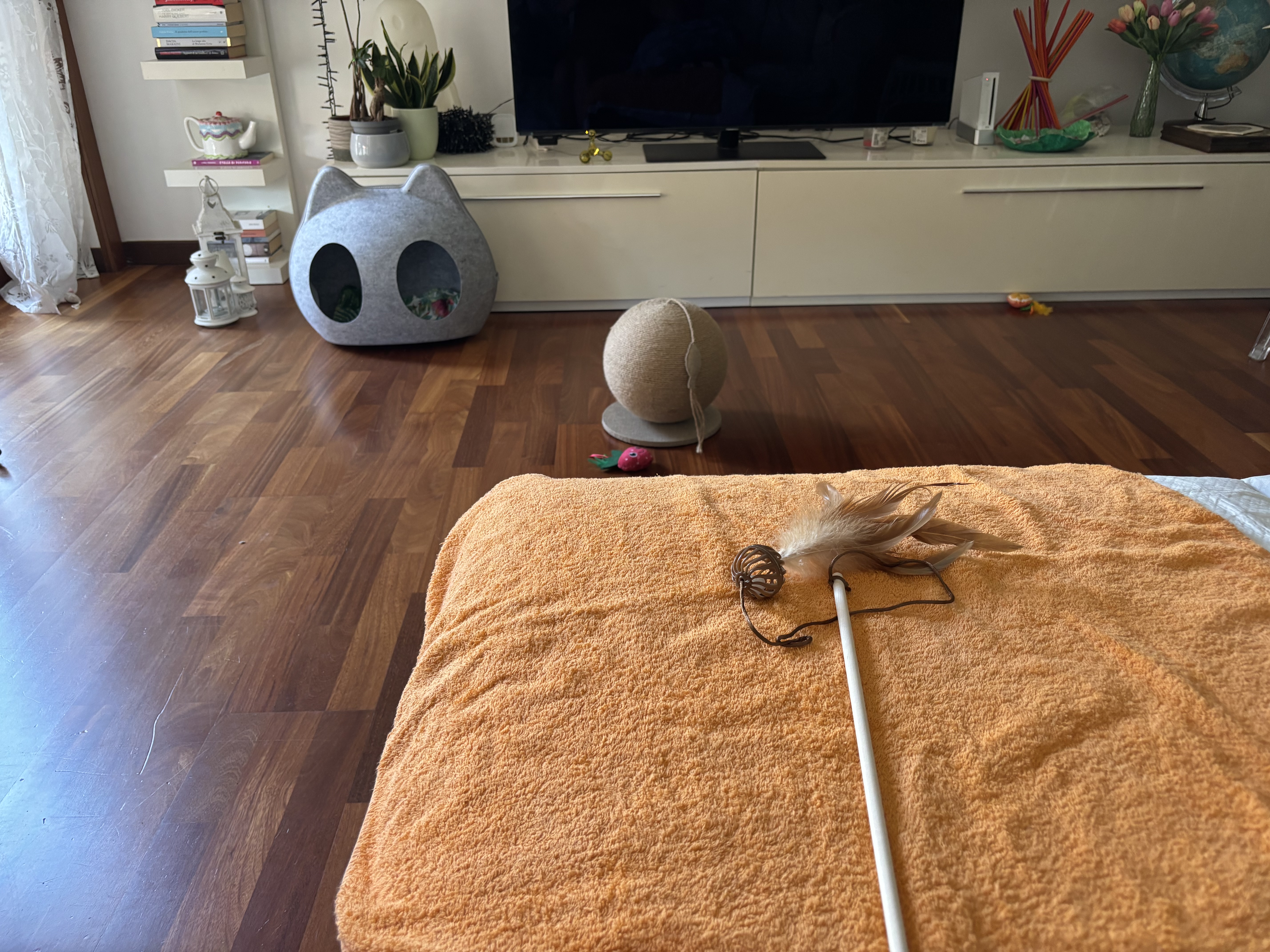 image-12