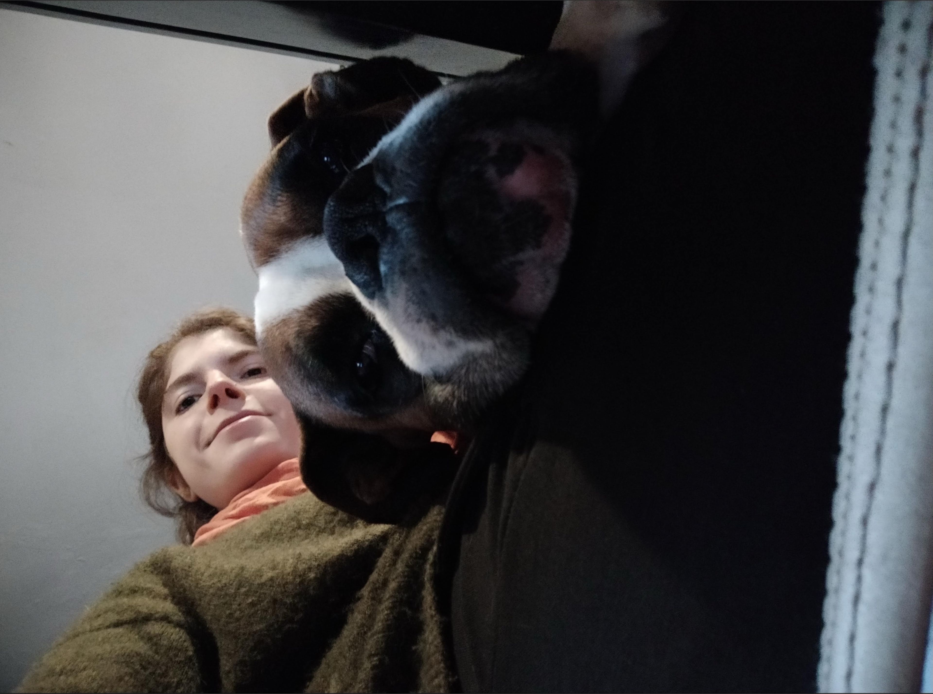 image-5