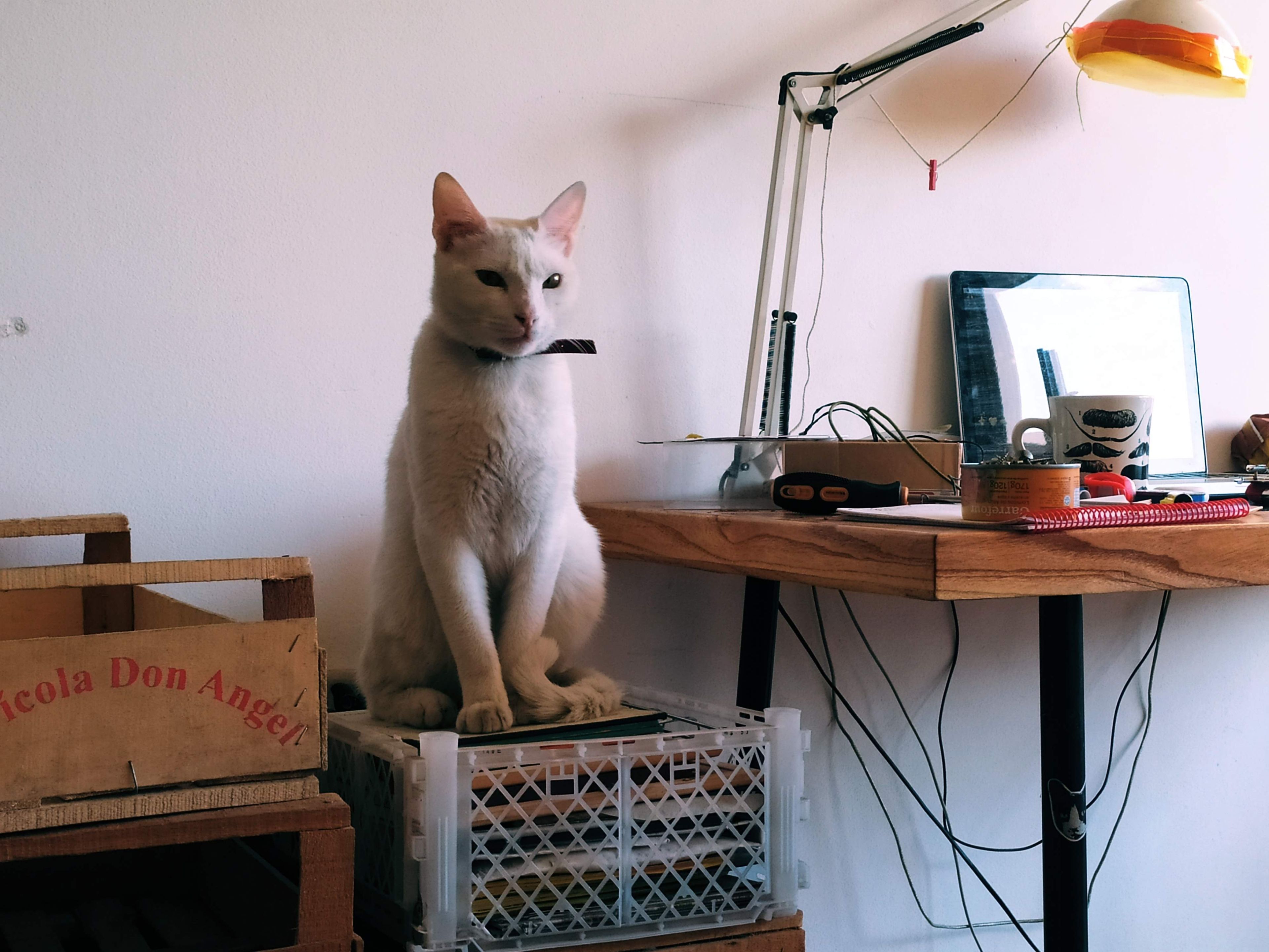 image-8