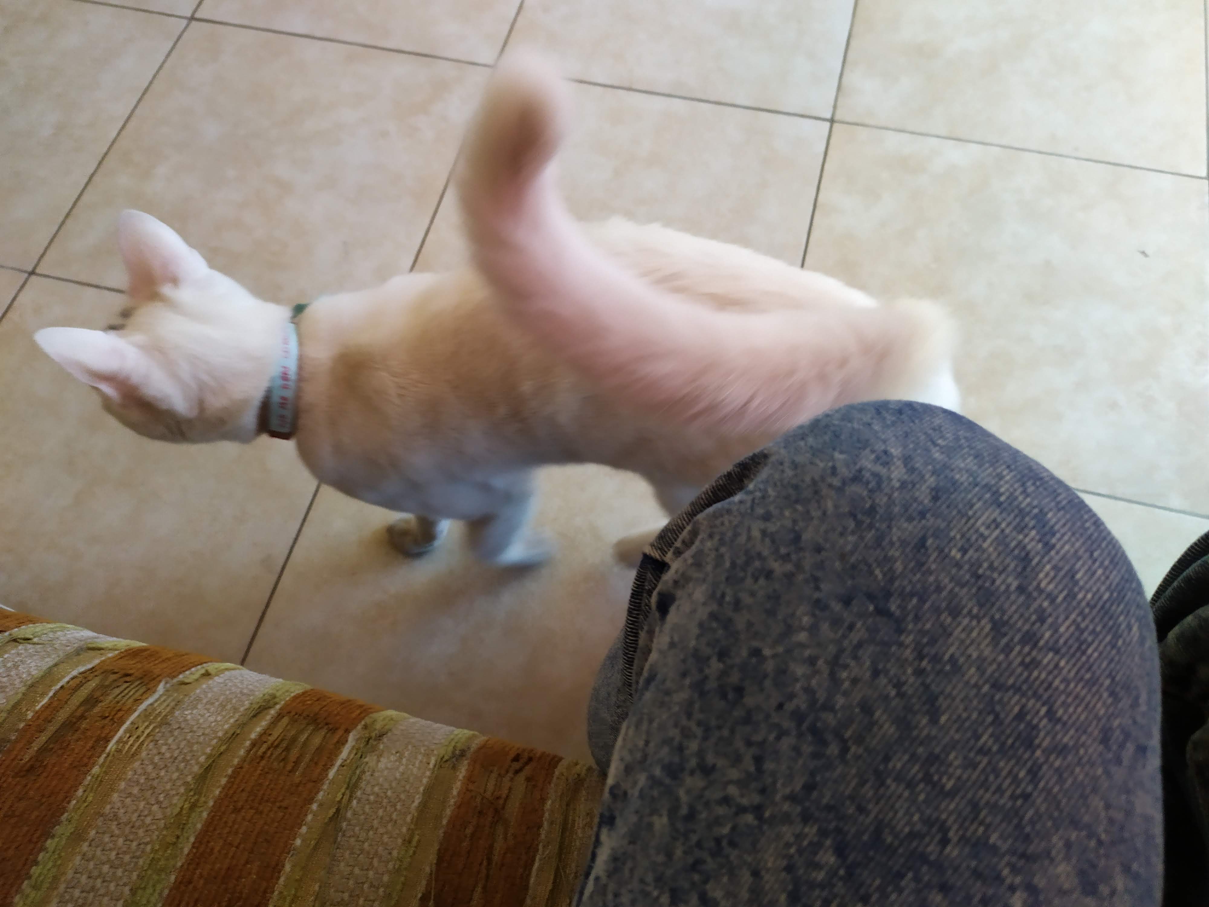 image-12