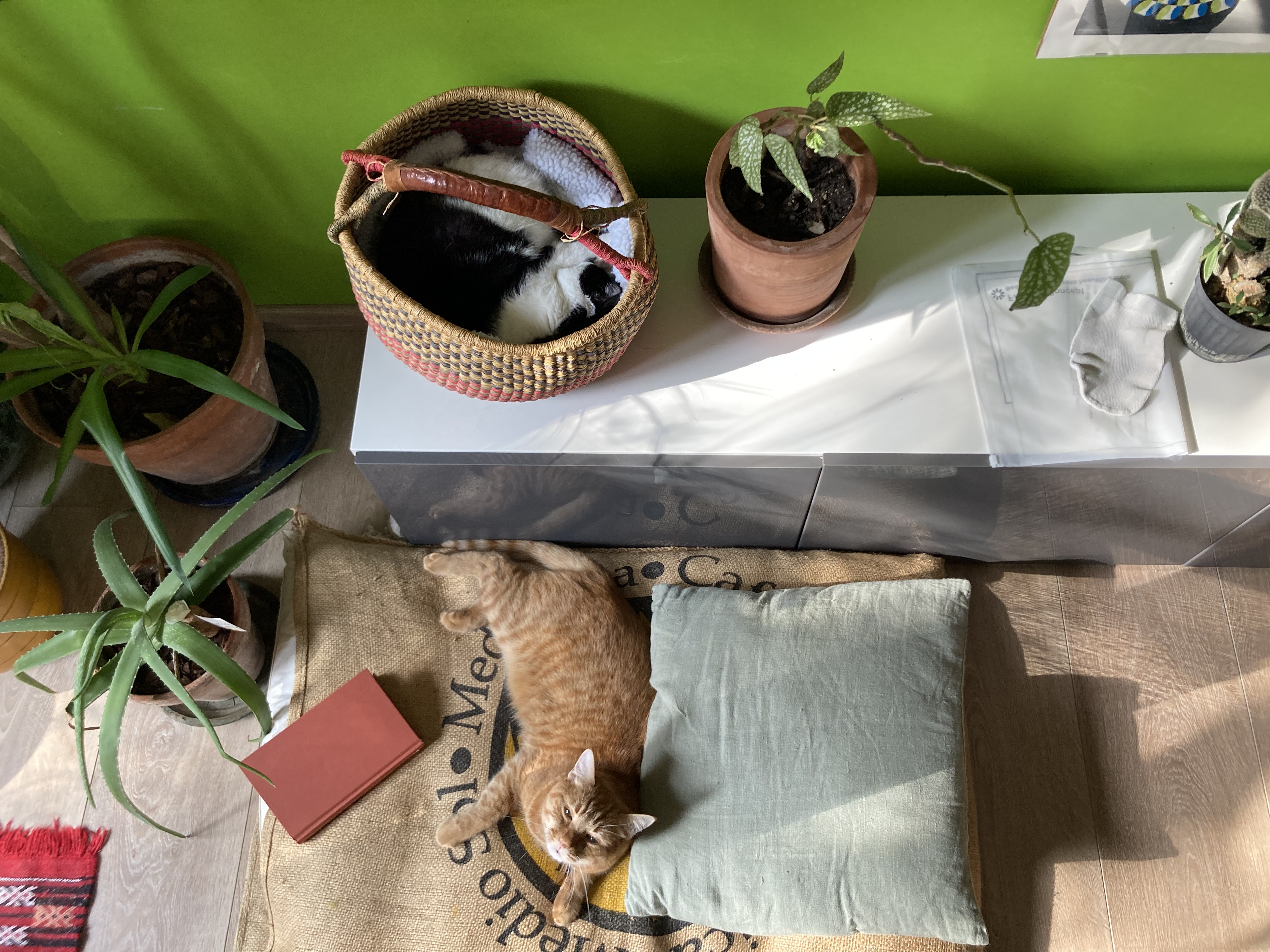 image-8
