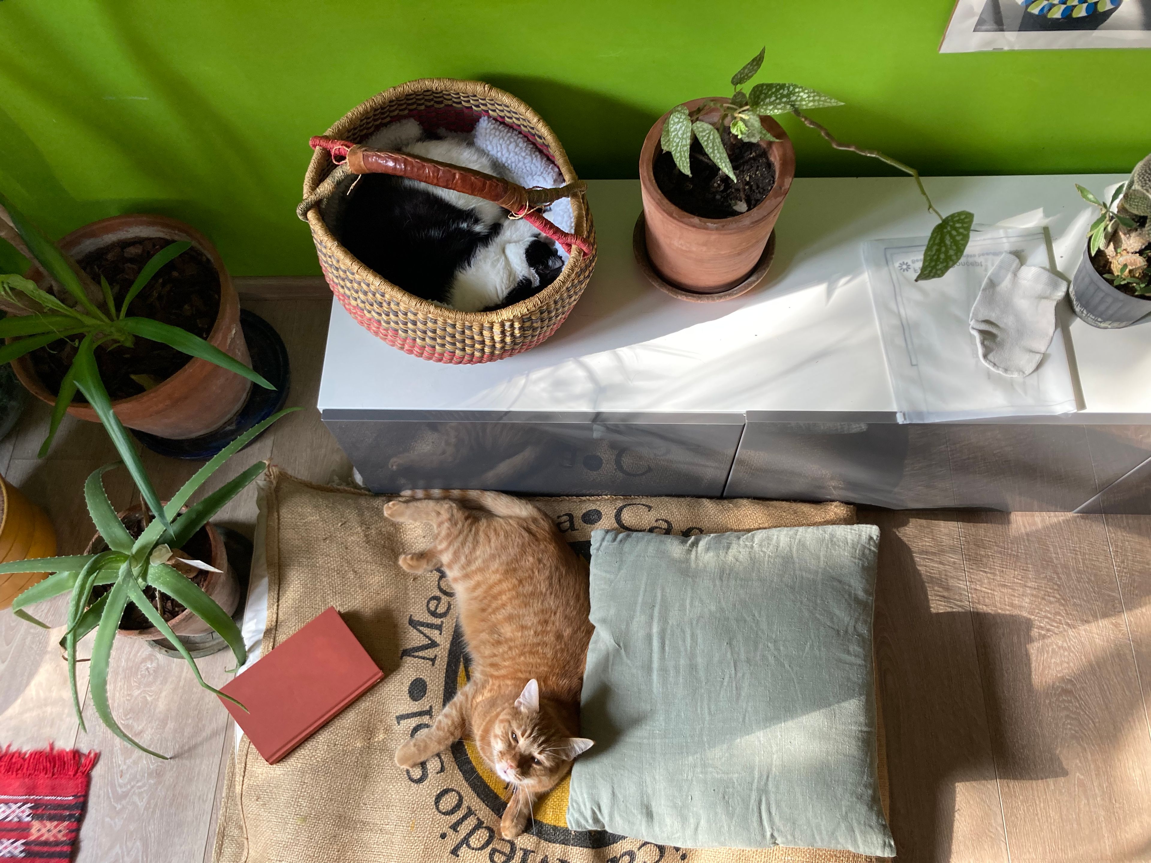 image-8